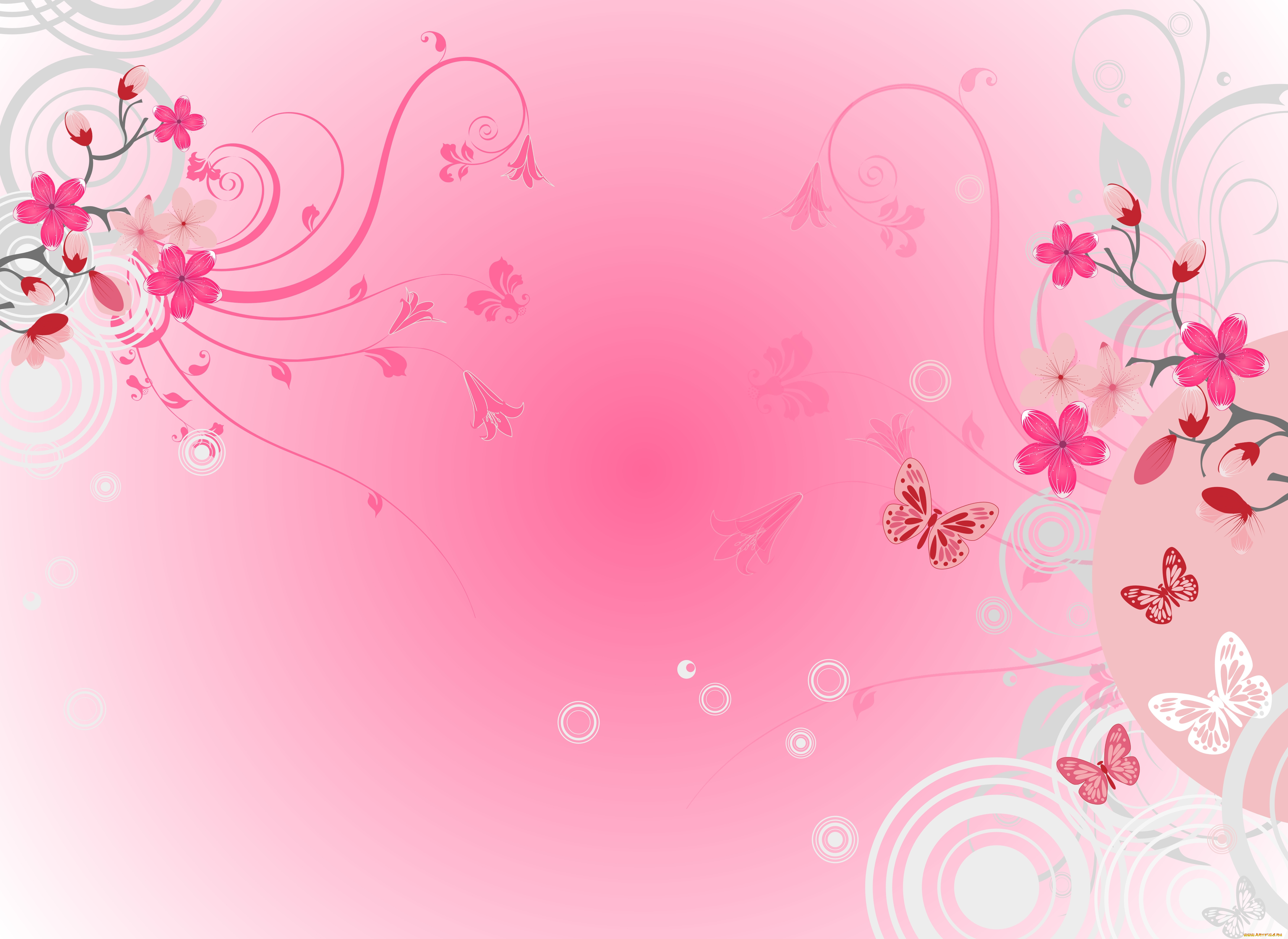 векторная, графика, цветы, , flowers, цветы, бабочки