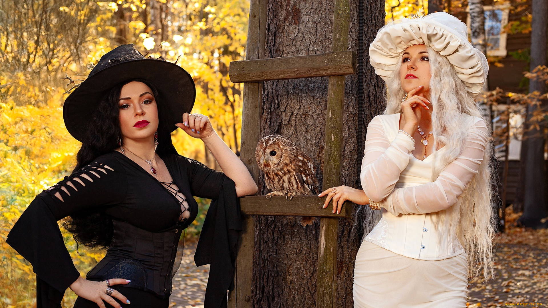 девушки, юлия, огородникова, образы, косплей, наряды, костюмы, ведьмы, шляпы, платья, осень, лес, дерево, лестница, сова, дом