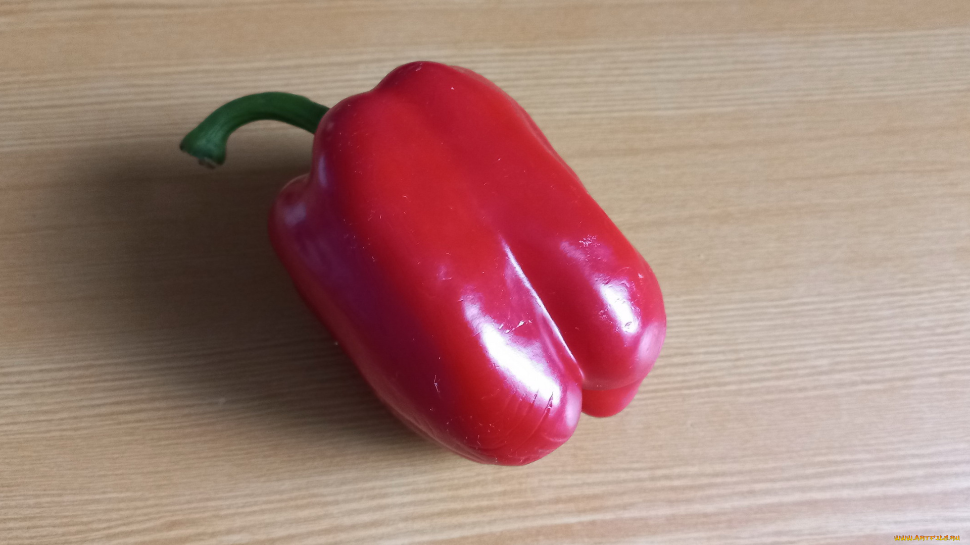 еда, перец, красный, болгарский