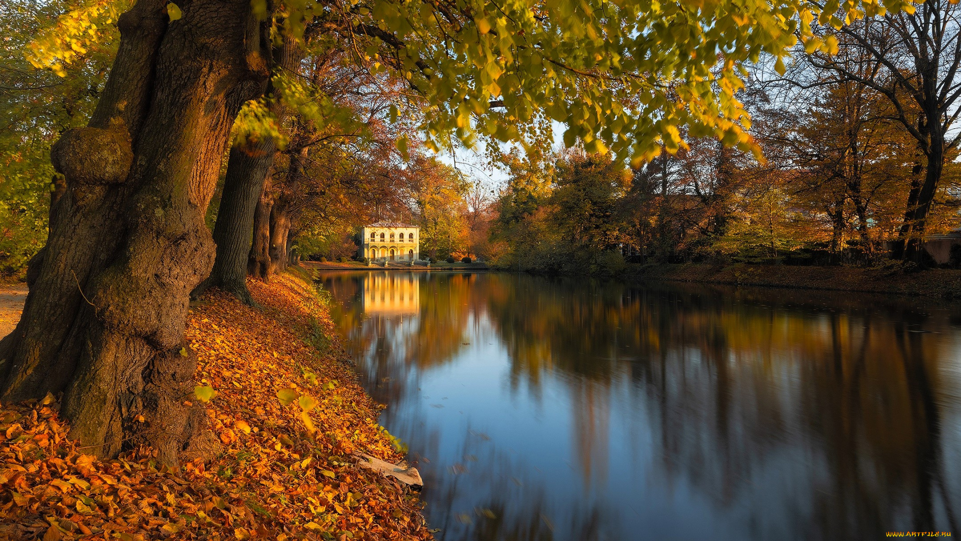 города, -, здания, , дома, дом, особняк, пруд, парк, деревья, листья, осень
