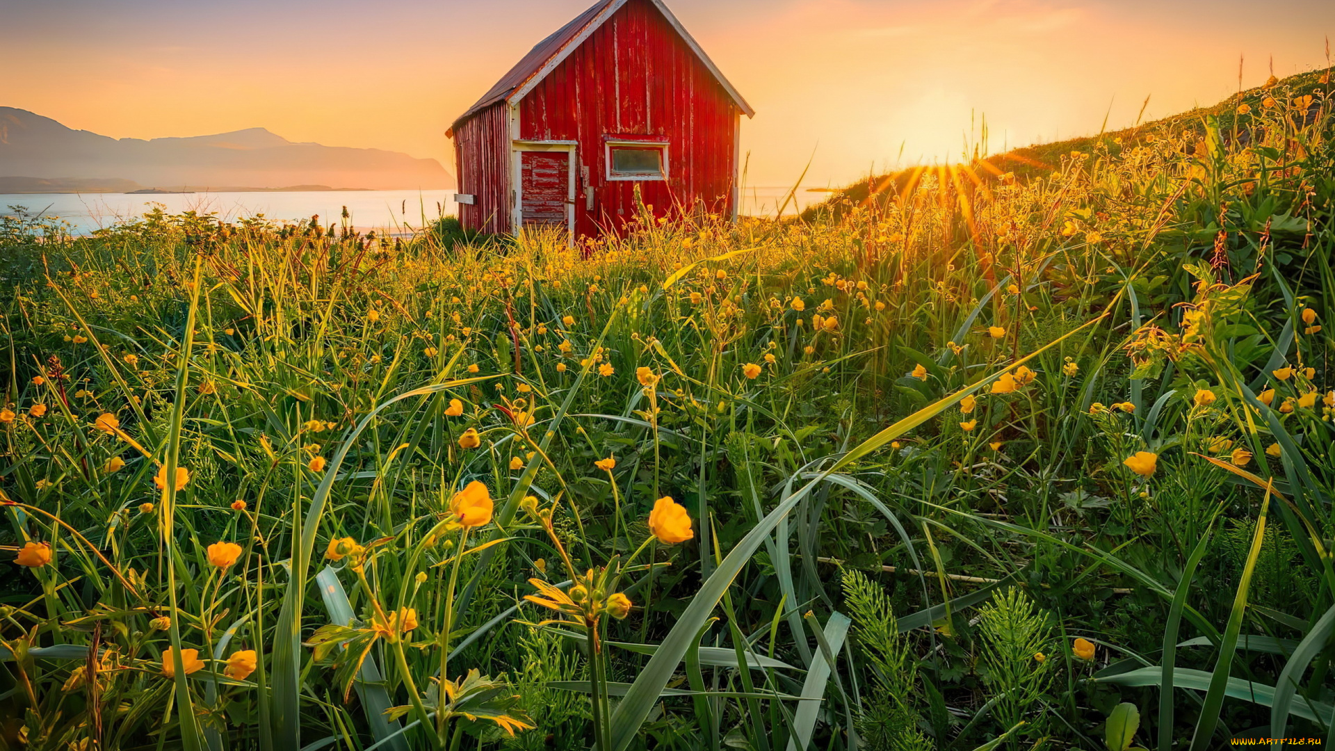 города, -, здания, , дома, река, луг, цветы, дом