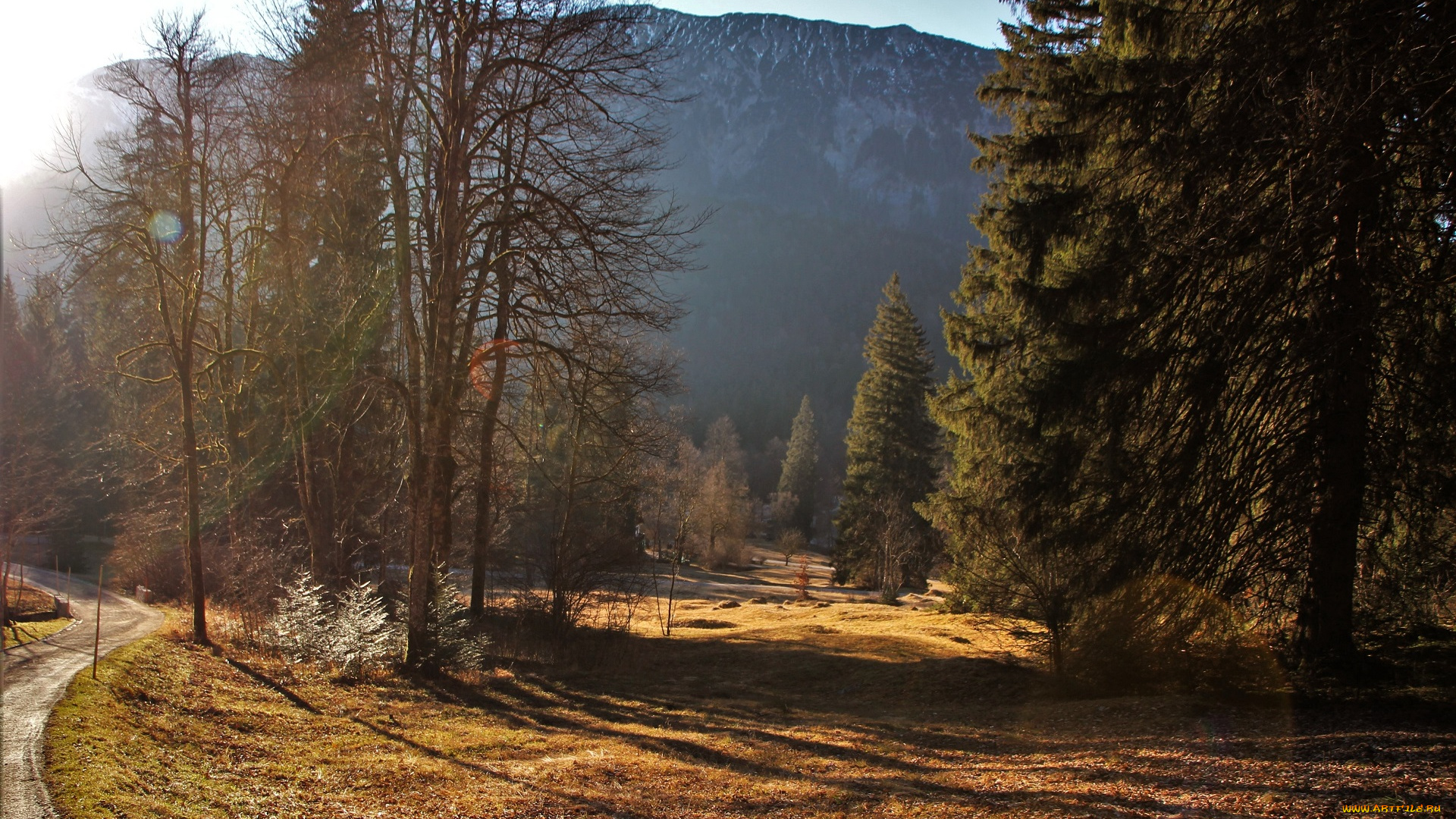 природа, горы, деревья, туман, поля, дорога
