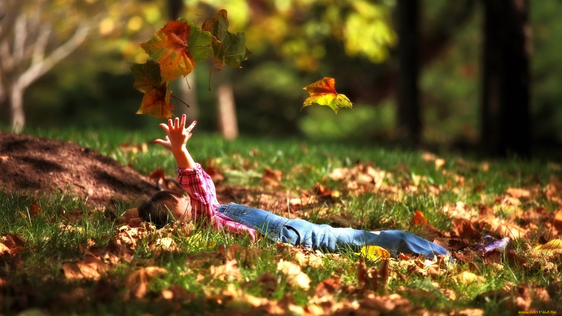 разное, дети, ребенок, комбинезон, листья, осень, трава