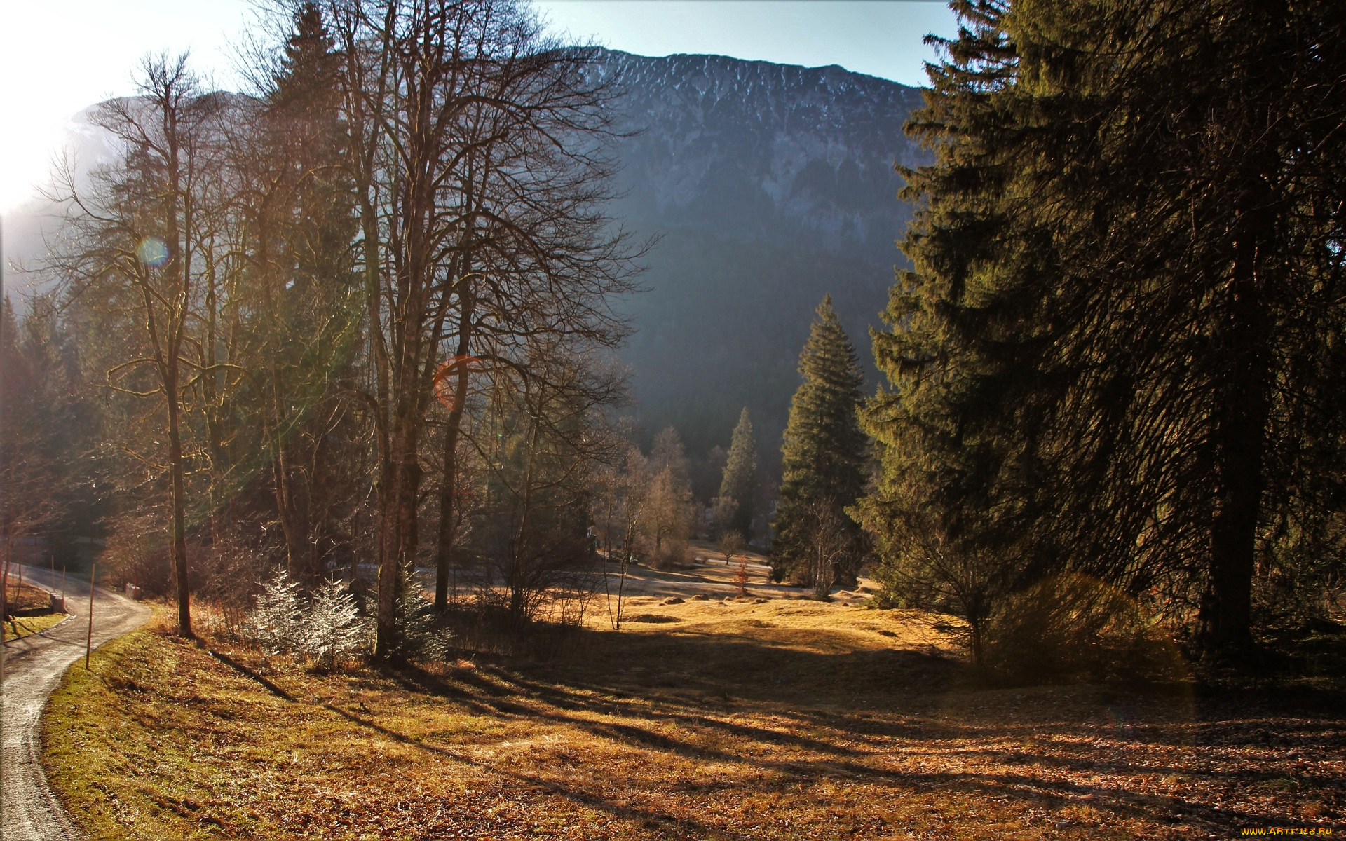 природа, горы, деревья, туман, поля, дорога