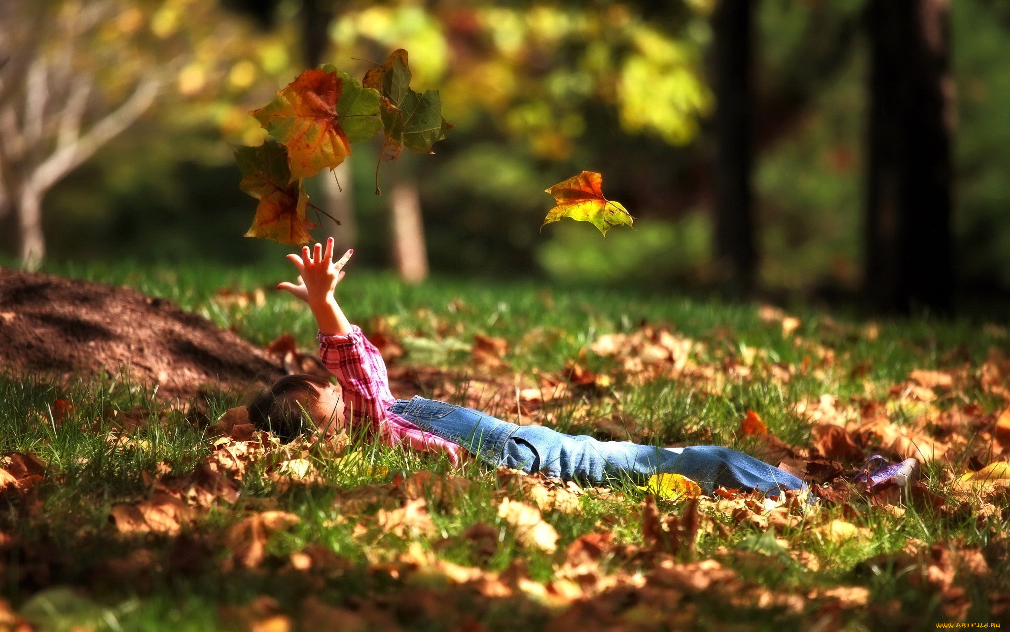 разное, дети, ребенок, комбинезон, листья, осень, трава