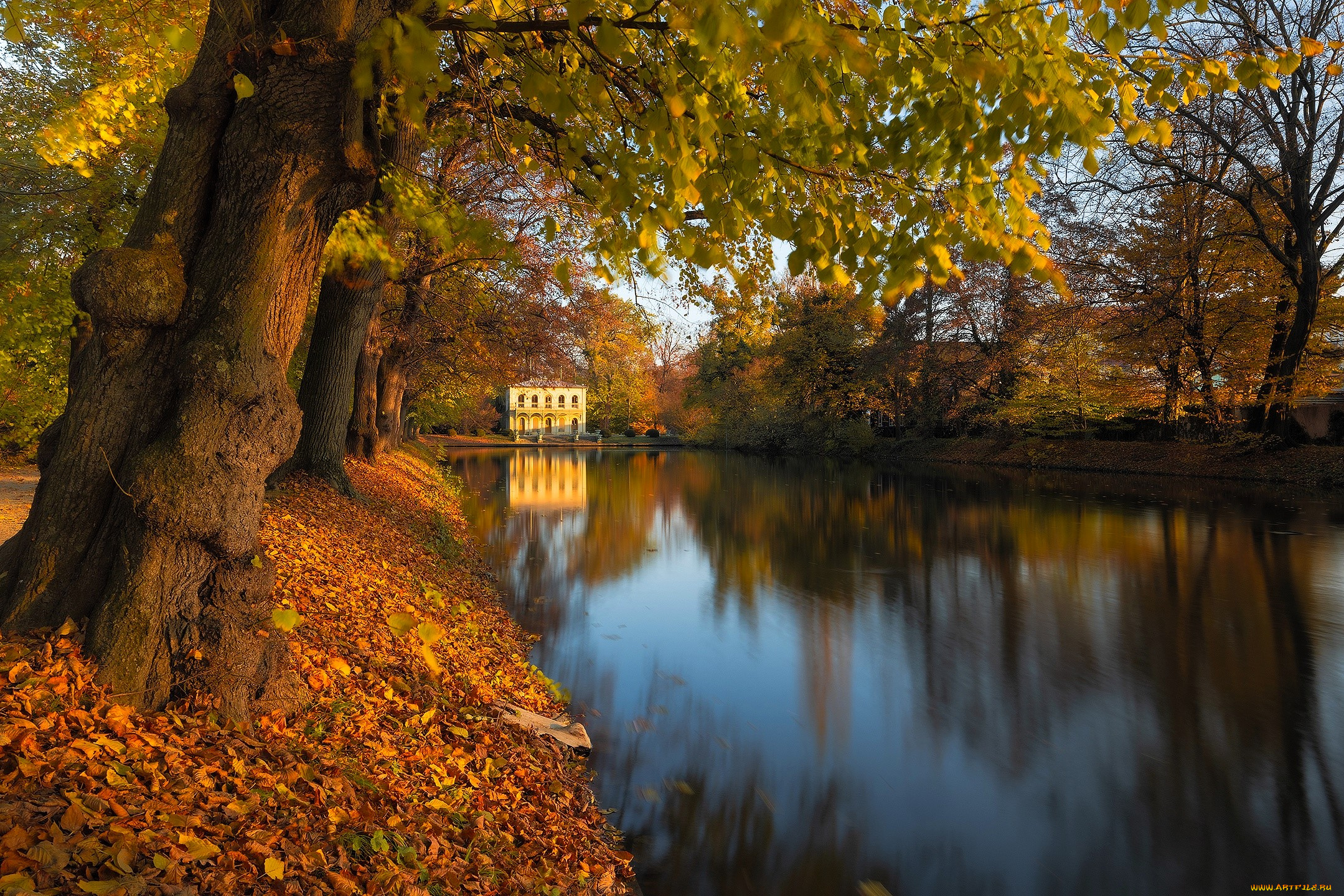 города, -, здания, , дома, дом, особняк, пруд, парк, деревья, листья, осень