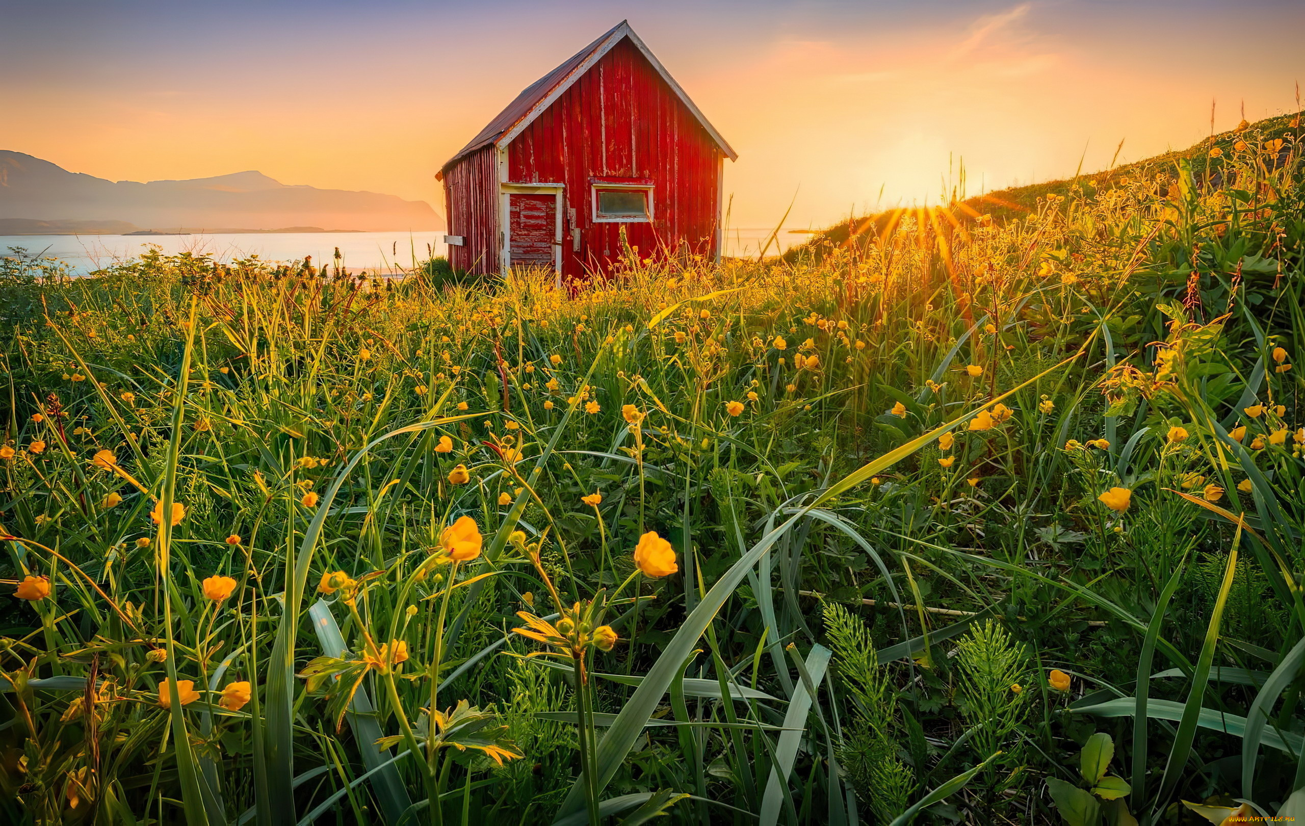 города, -, здания, , дома, река, луг, цветы, дом