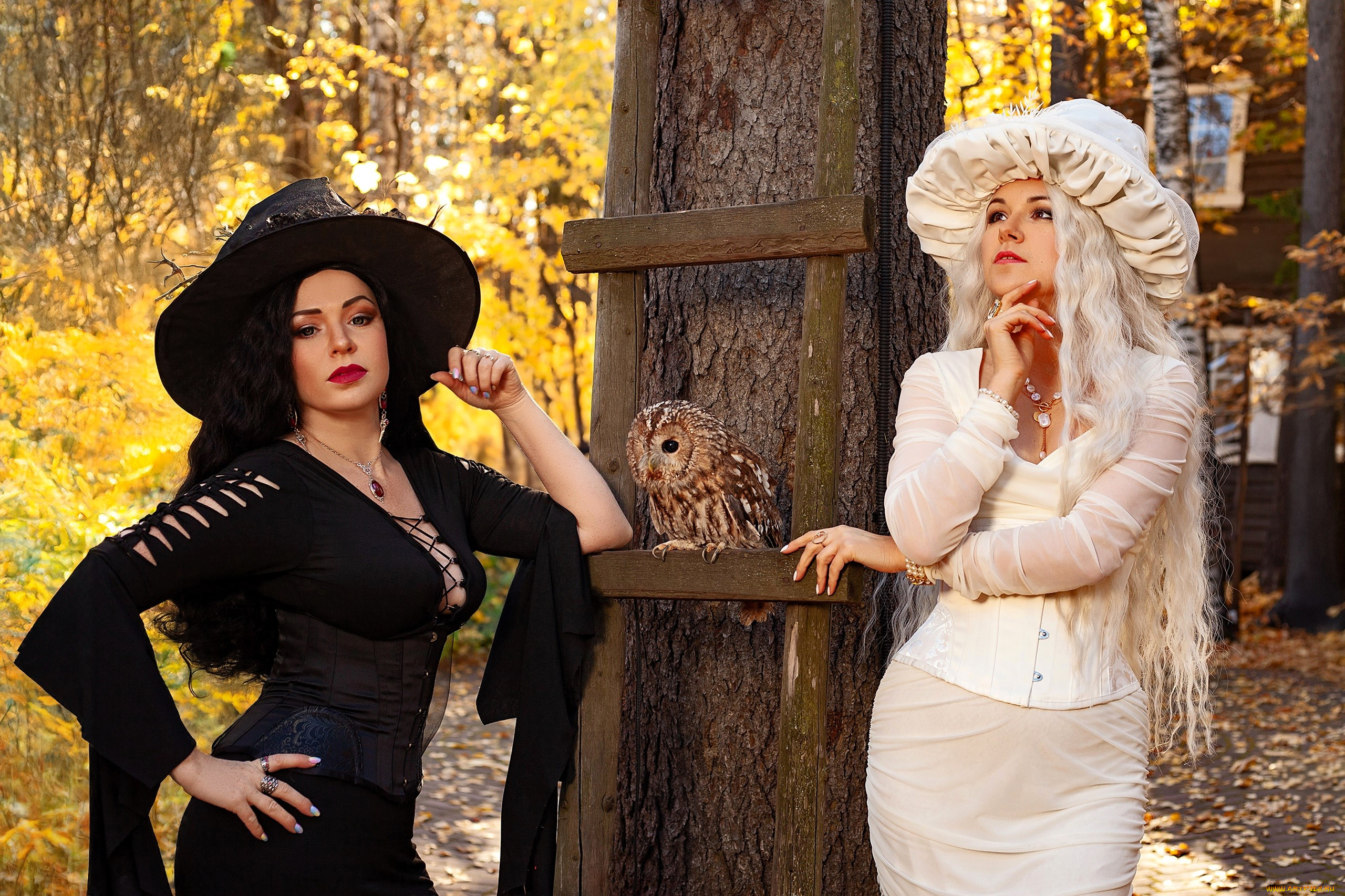девушки, юлия, огородникова, образы, косплей, наряды, костюмы, ведьмы, шляпы, платья, осень, лес, дерево, лестница, сова, дом