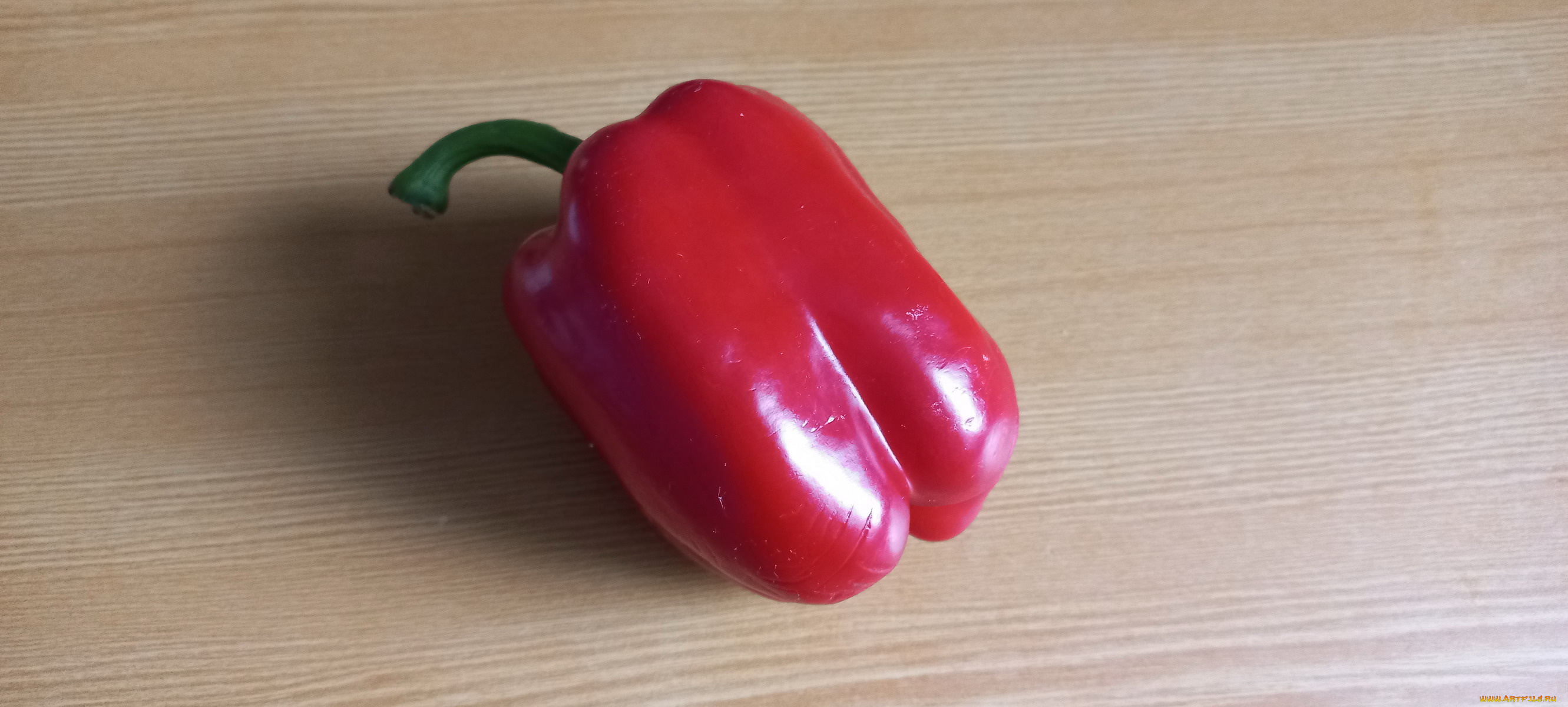 еда, перец, красный, болгарский