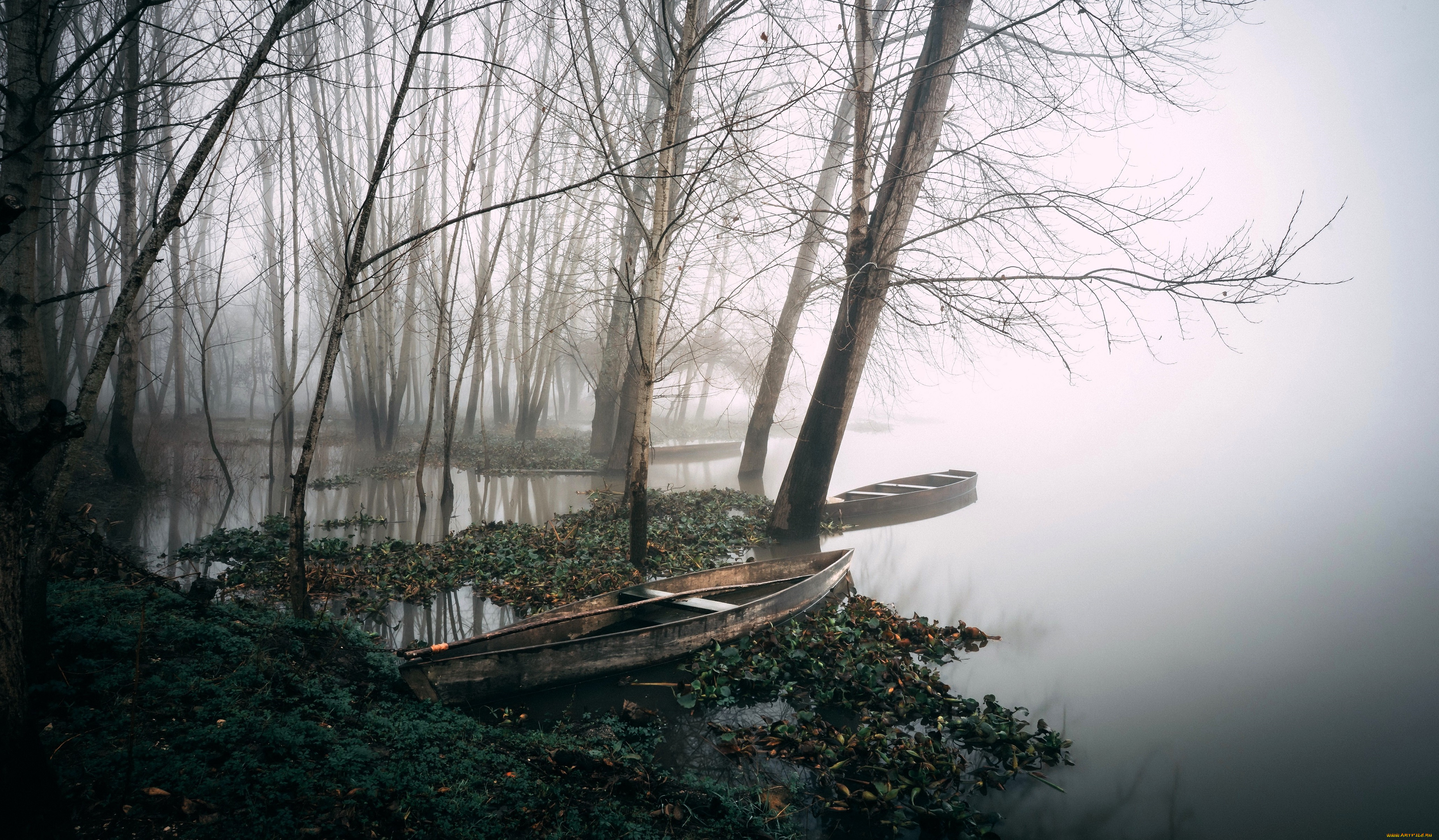 корабли, лодки, , шлюпки, деревья, туман, озеро, берег, осень