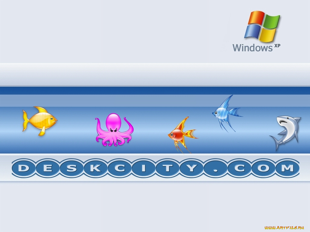 компьютеры, windows, xp