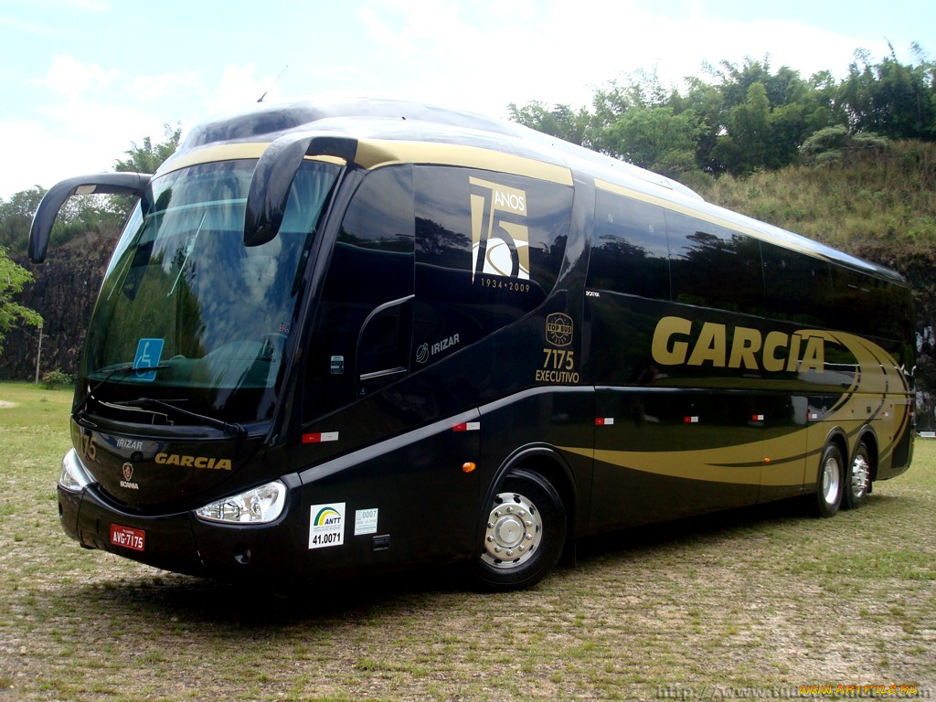 автомобили, автобусы