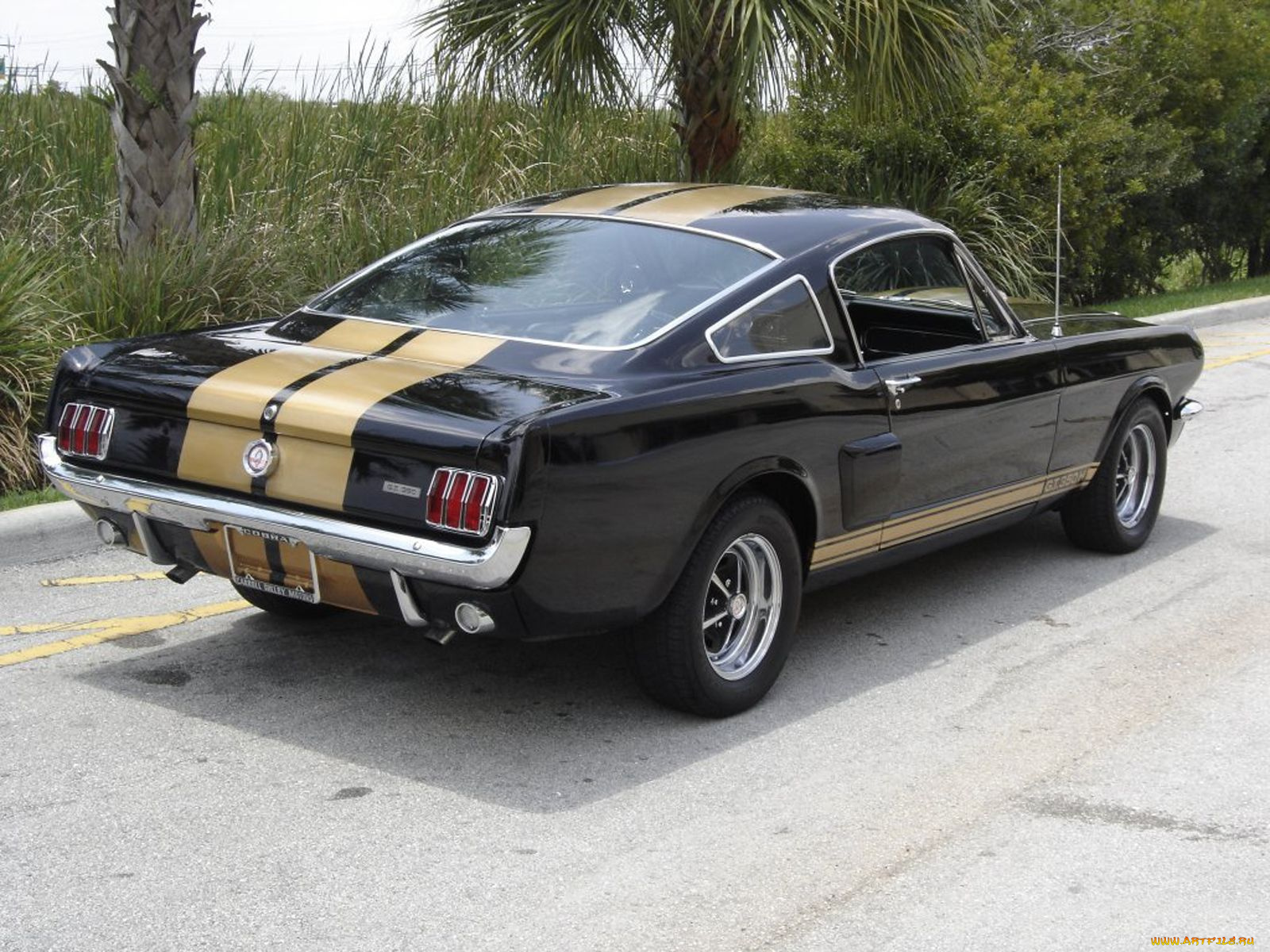 автомобили, mustang