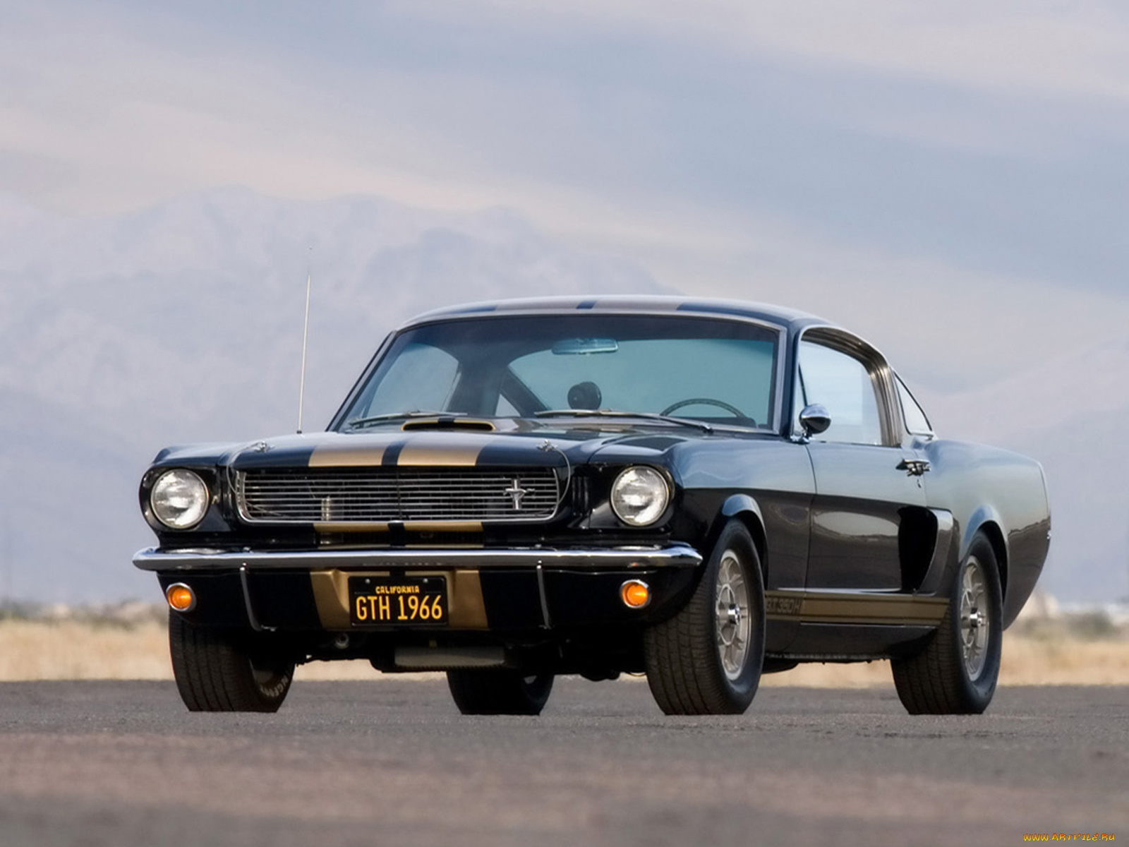 автомобили, mustang