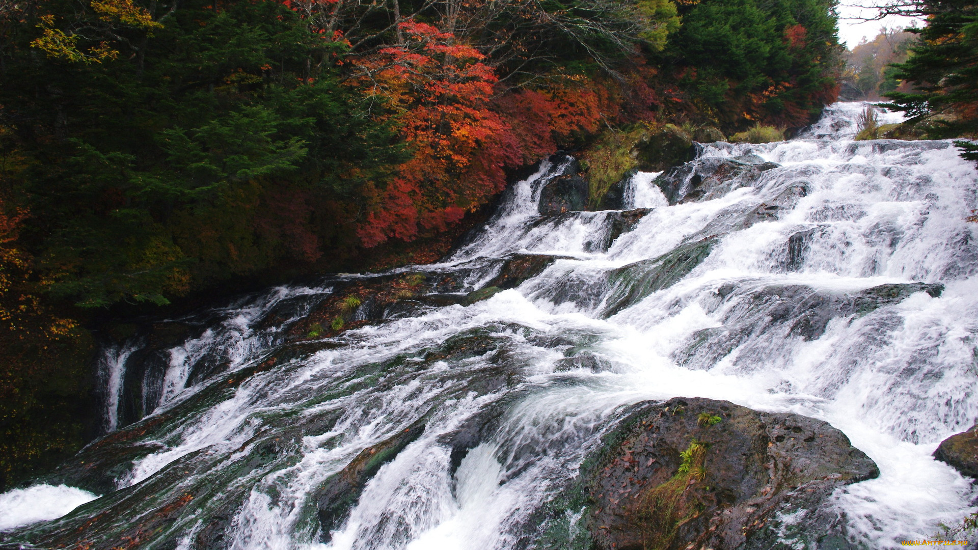 природа, реки, озера, вода, камни, деревья