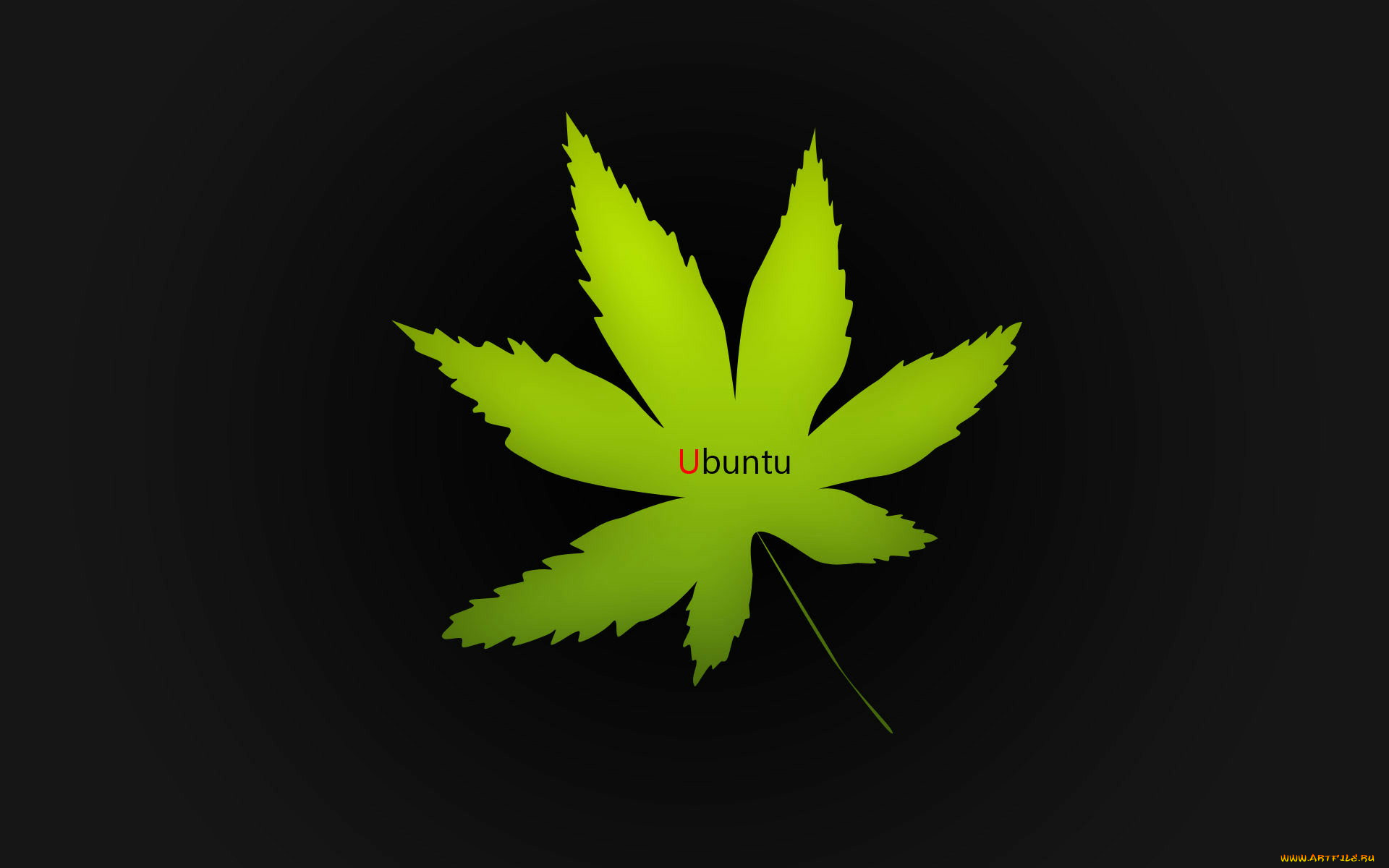 компьютеры, ubuntu, linux