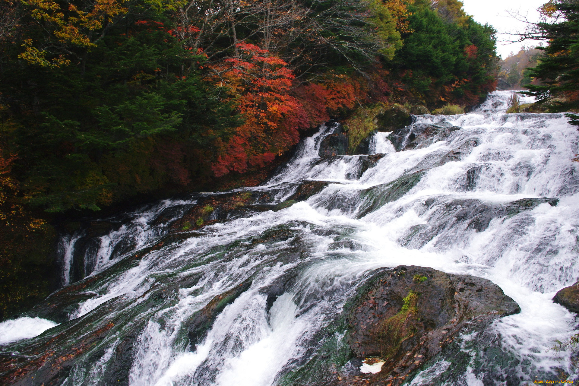 природа, реки, озера, вода, камни, деревья