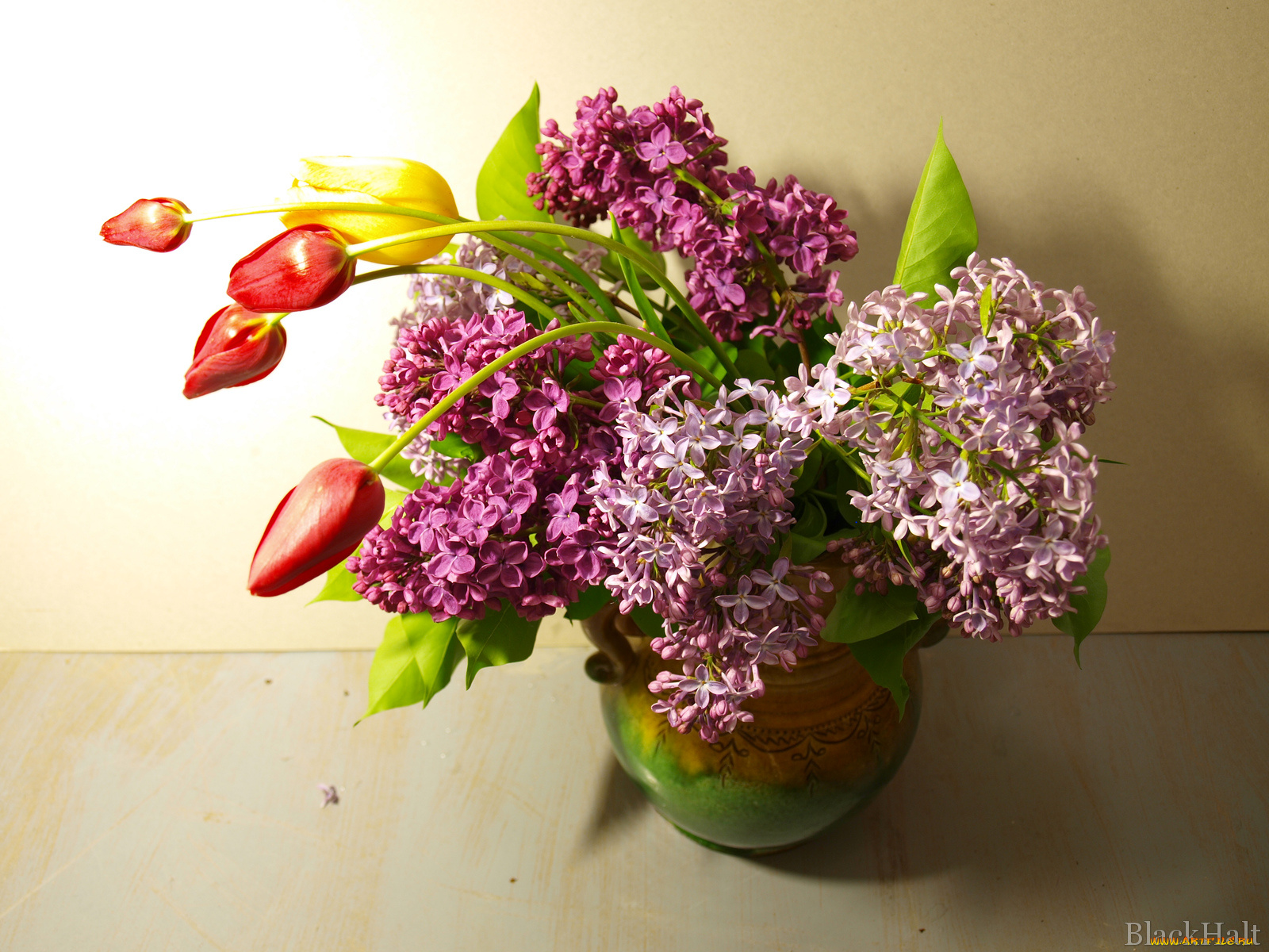 цветы, разные, вместе, сирень