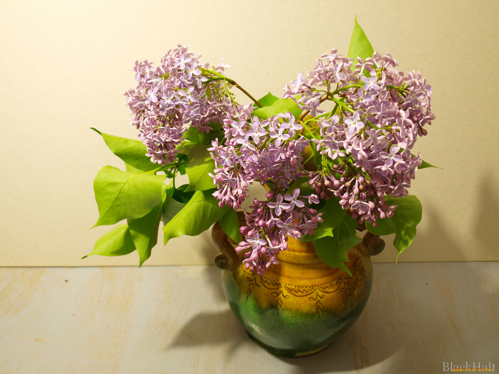 цветы, сирень