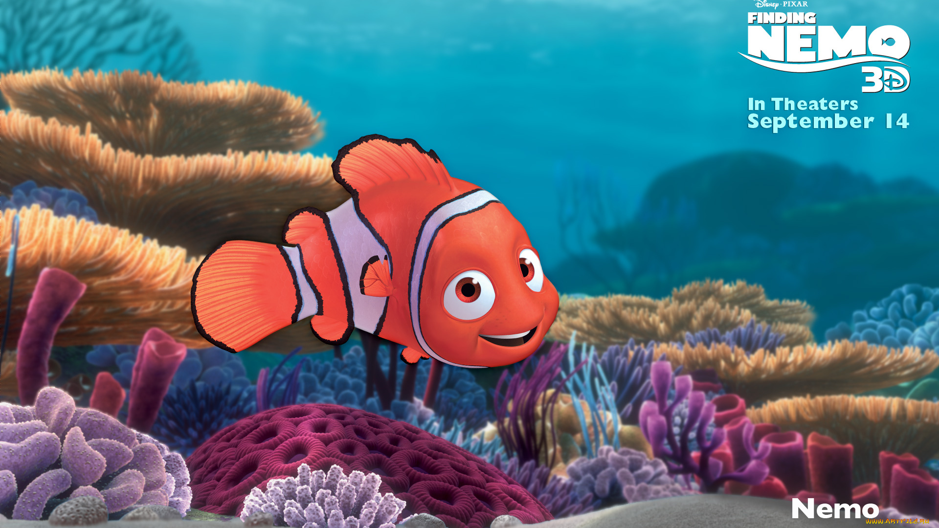 finding, nemo, мультфильмы, в, поисках, немо, мульт