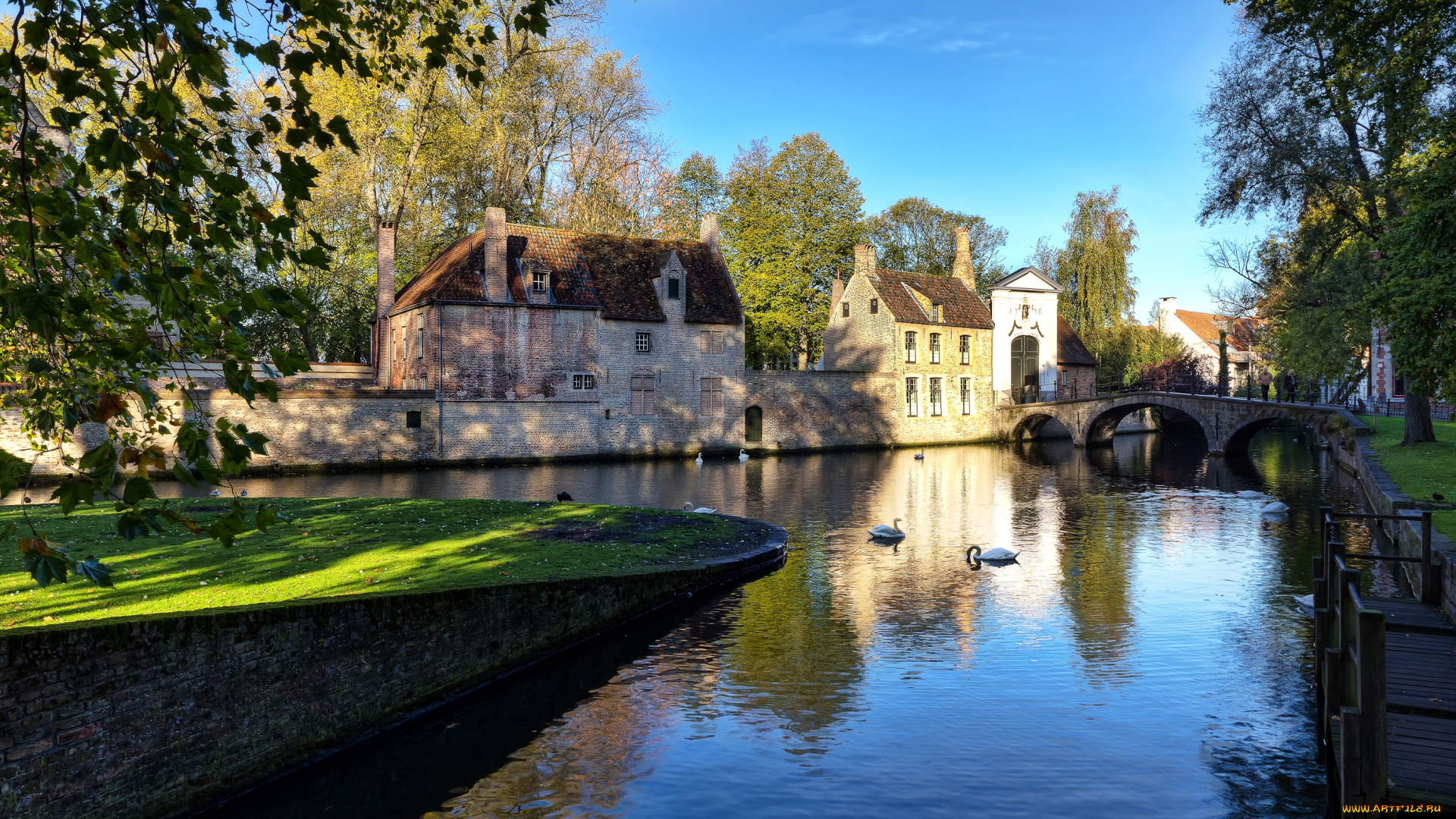 города, брюгге, бельгия, лебеди