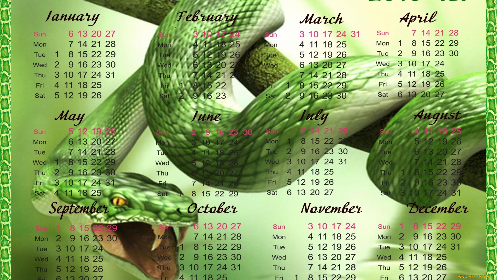 календари, рисованные, векторная, графика, календарь, 2013, новый, год, змея, зеленая