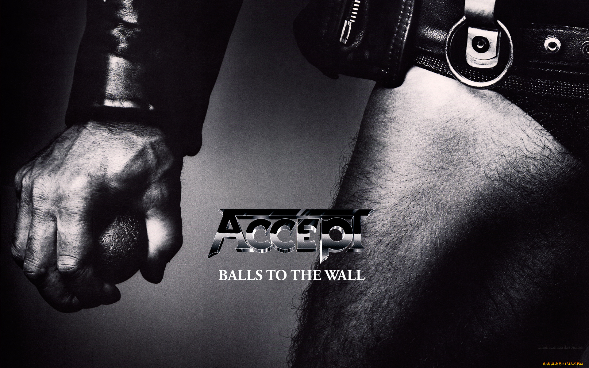 accept, музыка, группа, диск, альбом