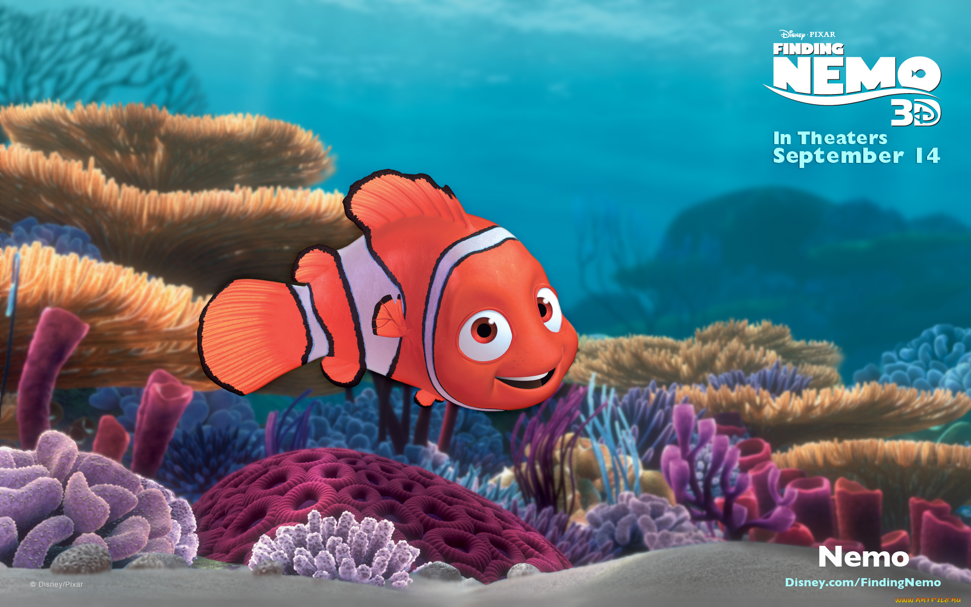 finding, nemo, мультфильмы, в, поисках, немо, мульт