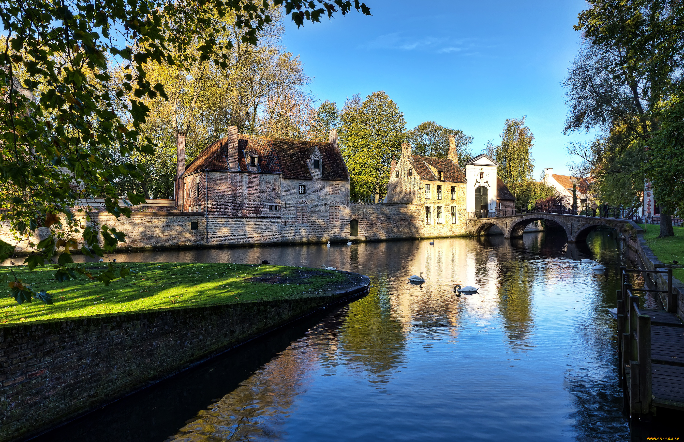 города, брюгге, бельгия, лебеди