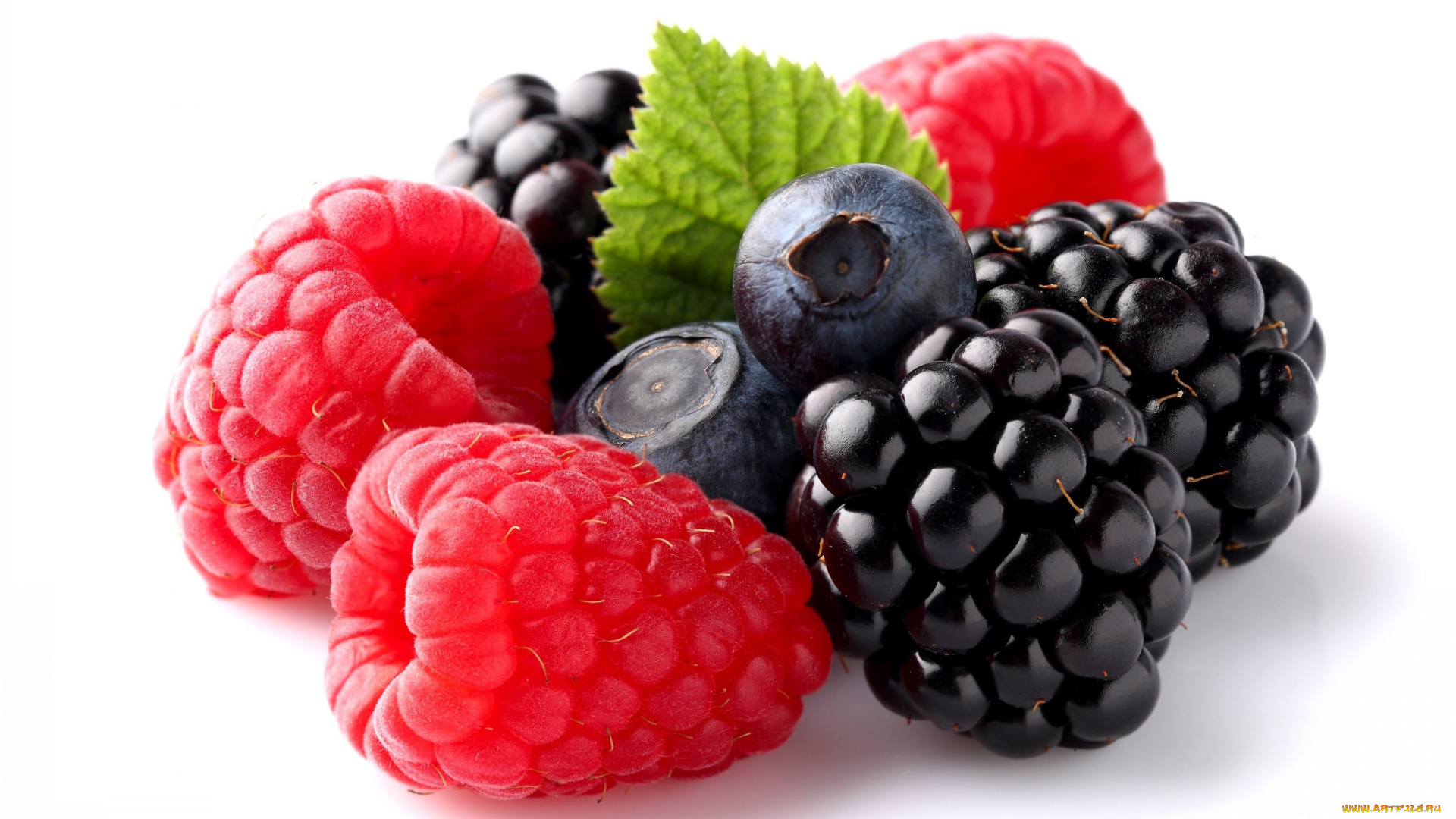 еда, фрукты, ягоды, клубника, ежевика, черника