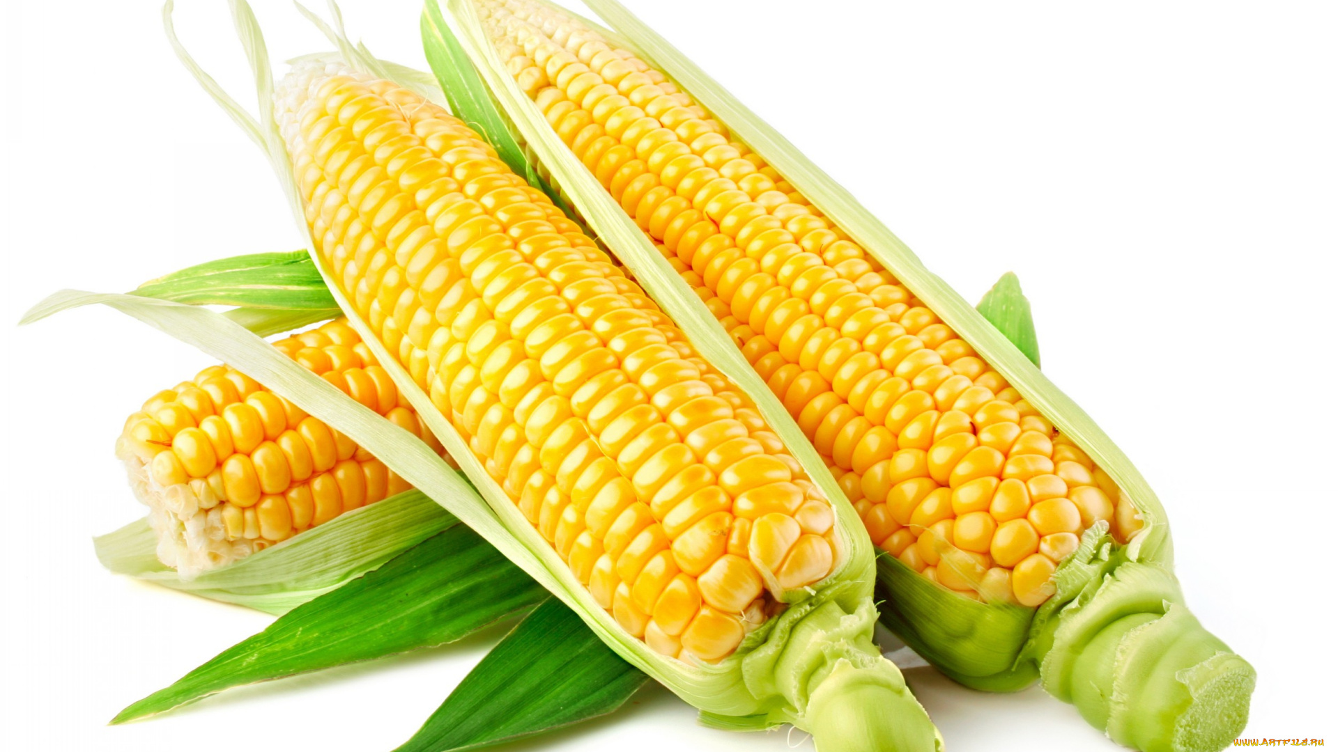 еда, кукуруза, листья, зерна, початки