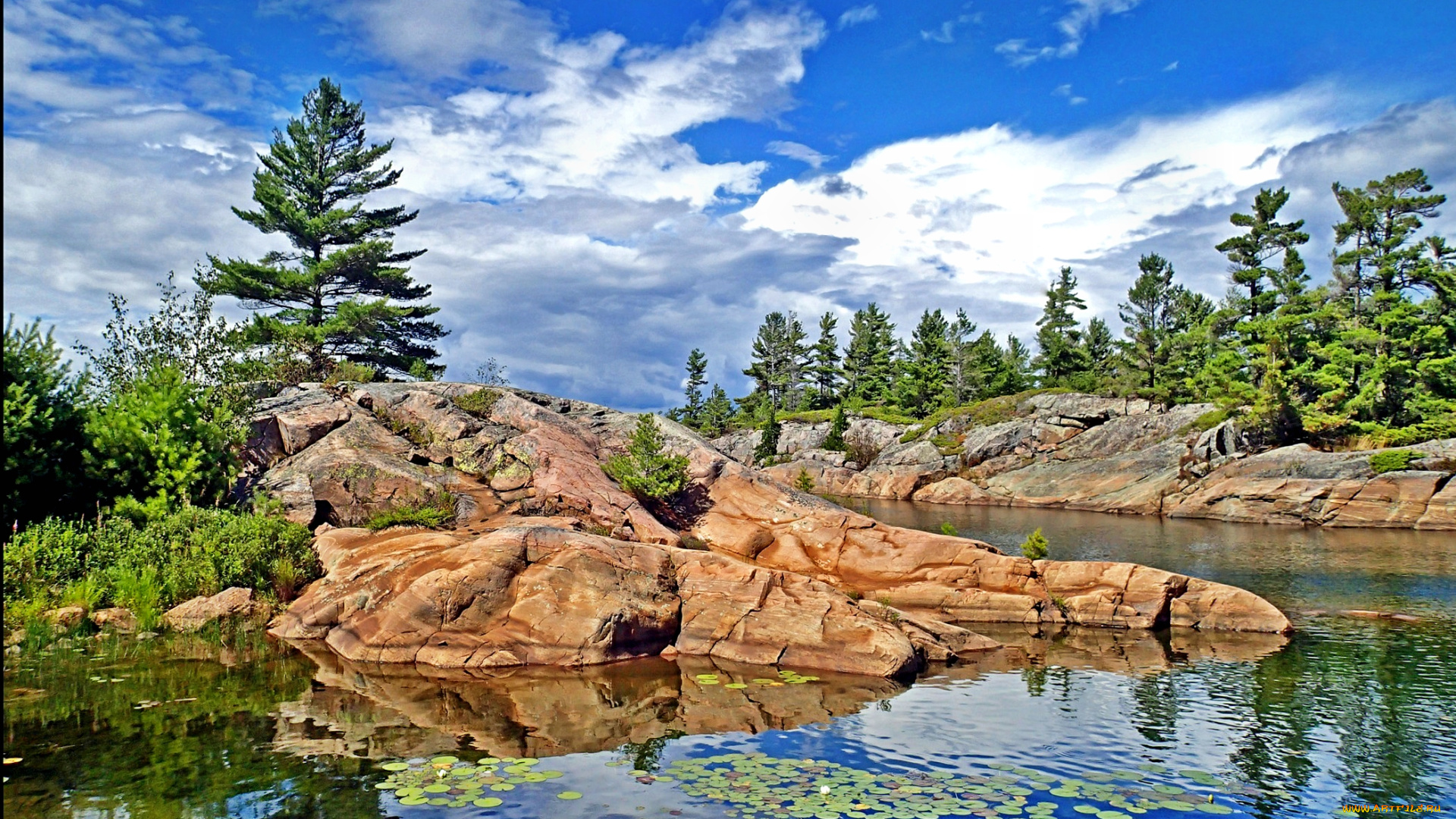 природа, побережье, камни, лес, берег, море, тучи