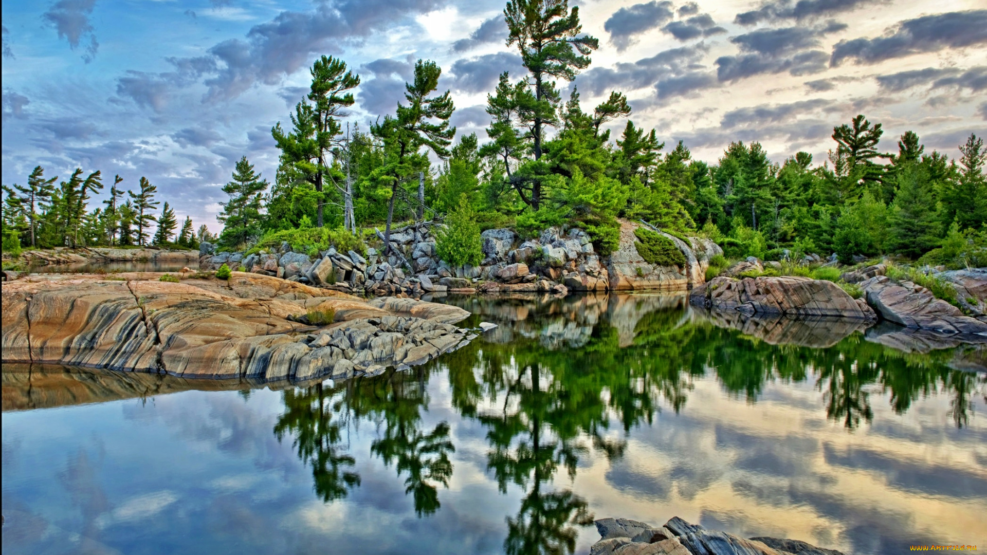 природа, побережье, море, тучи, лес, камни, берег