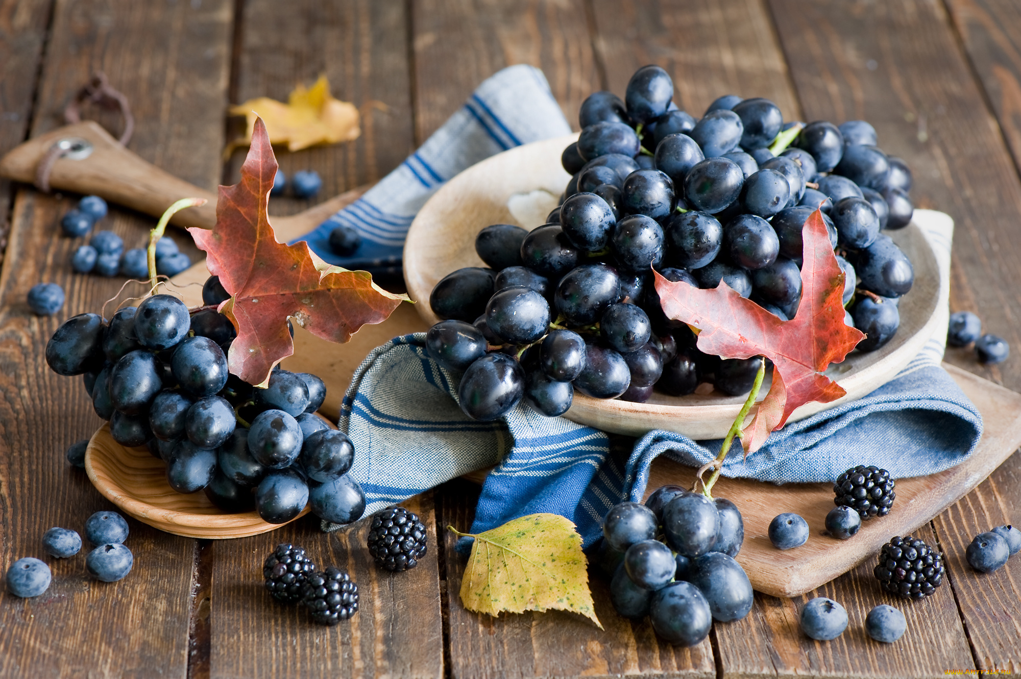 еда, фрукты, ягоды, виноград, ежевика, голубика