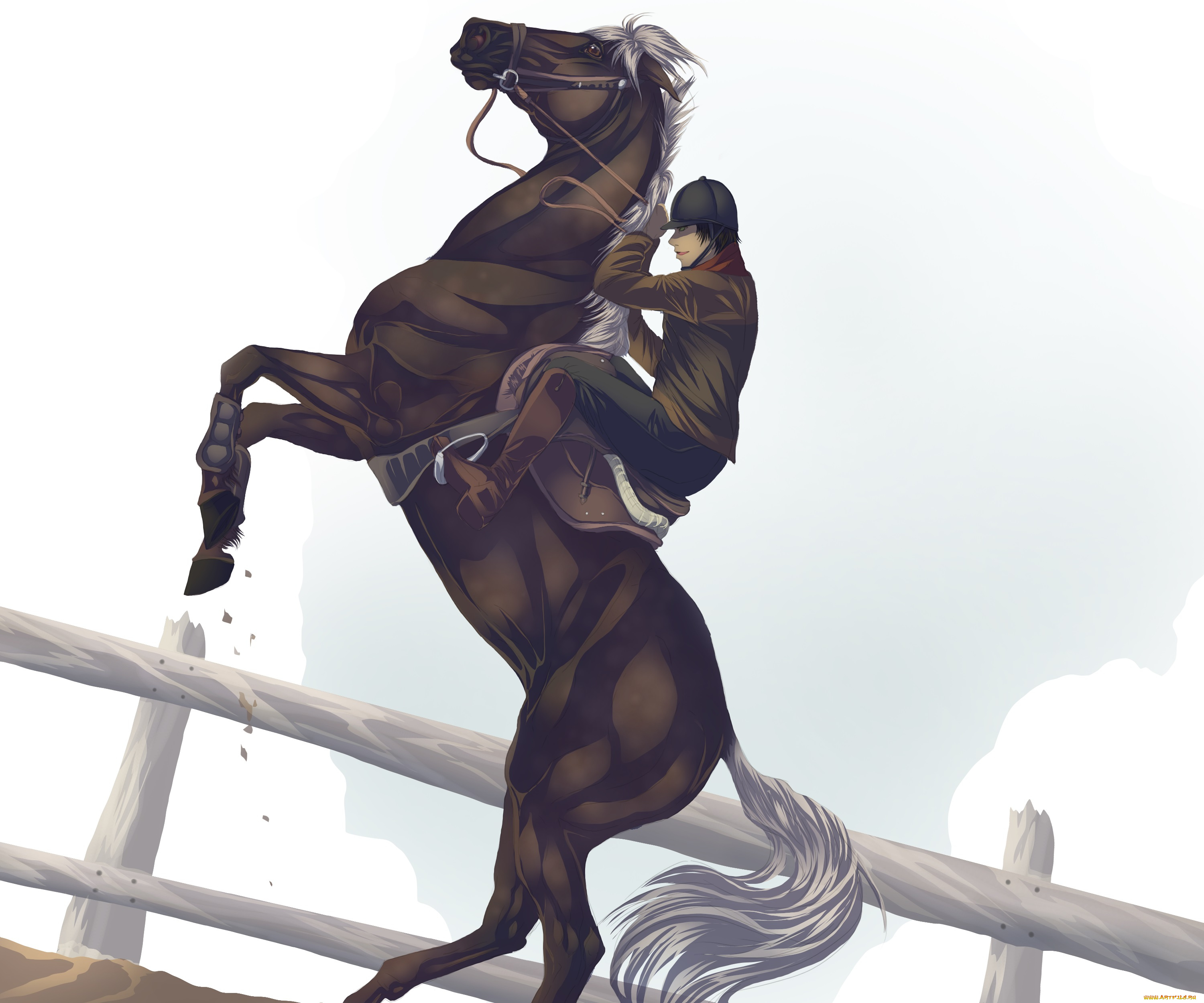 рисованные, животные, лошади, лошадь, всадник