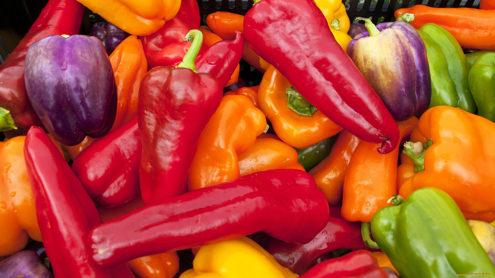 еда, перец, фиолетовый, урожай, зелёный, жёлтый, оранжевый, красный, кучка