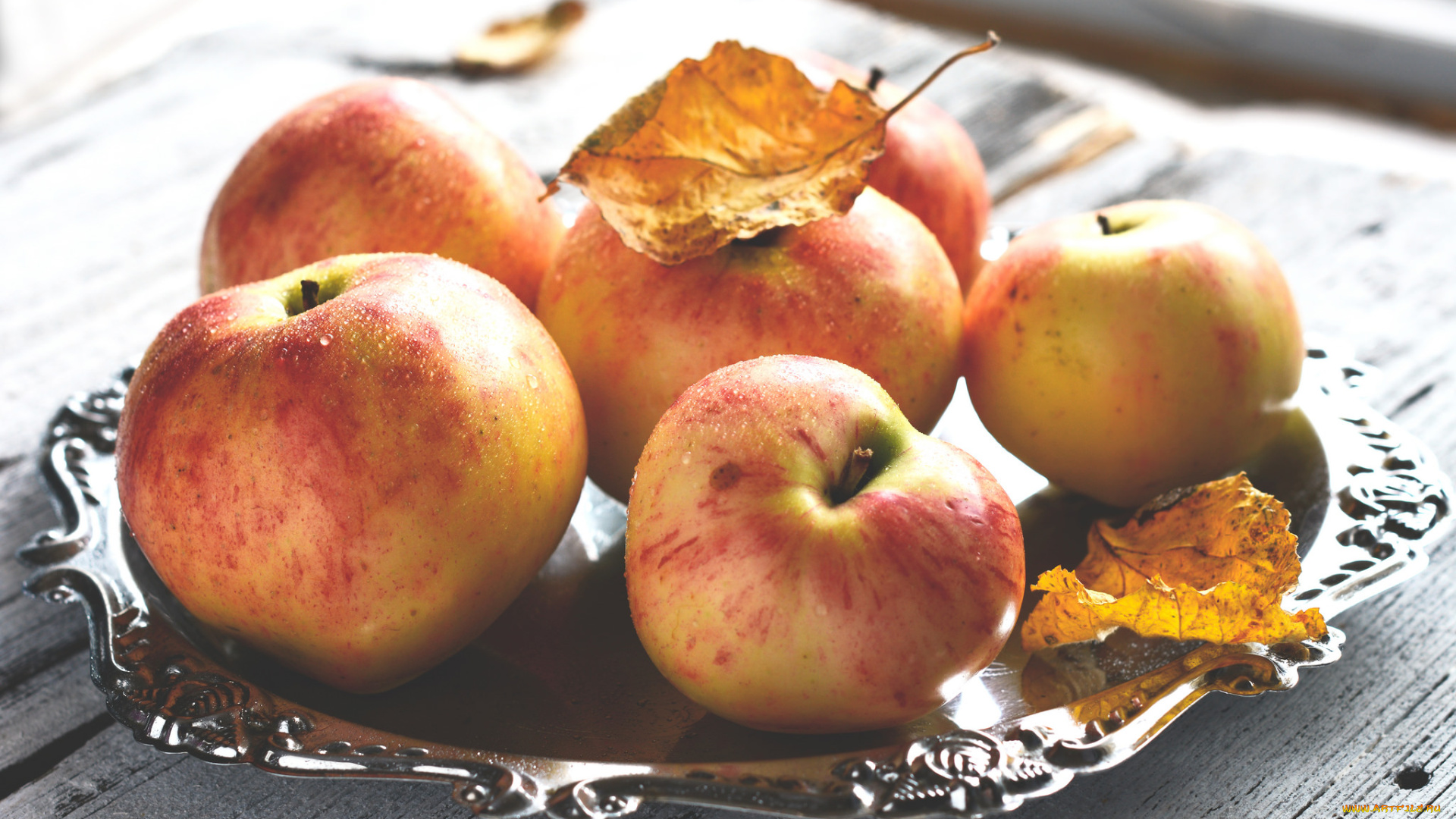 еда, Яблоки, листья, ветки, яблоки