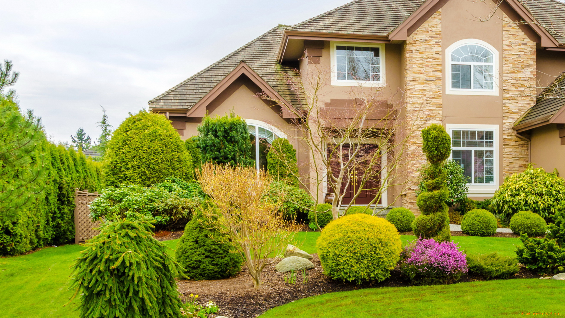 города, -, здания, , дома, дом, газон, ель, кусты, ландшафт, особняк