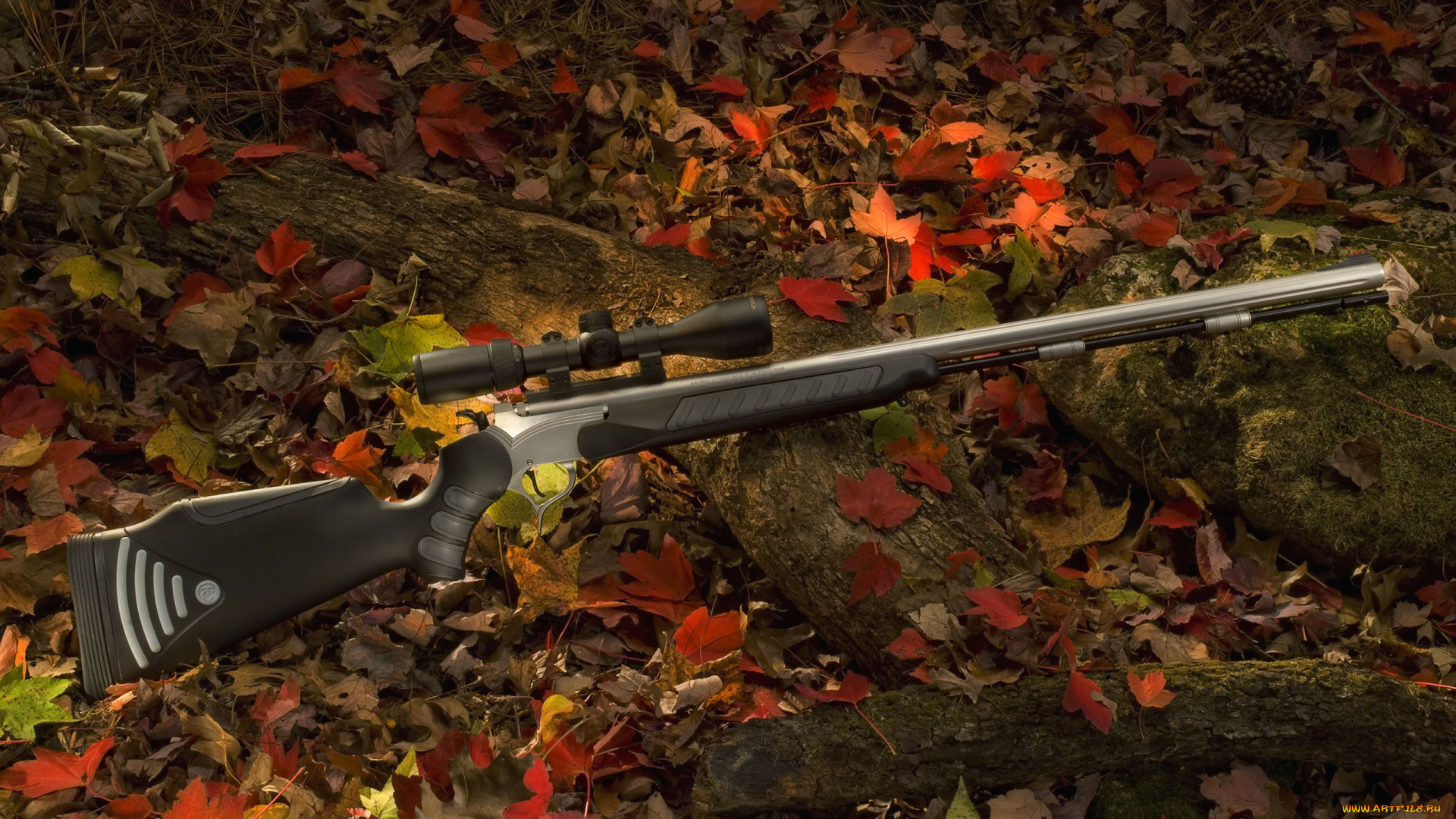 оружие, винтовкиружьямушкетывинчестеры, коряги, бревна, лес, листья, винтовка, оптика, осень
