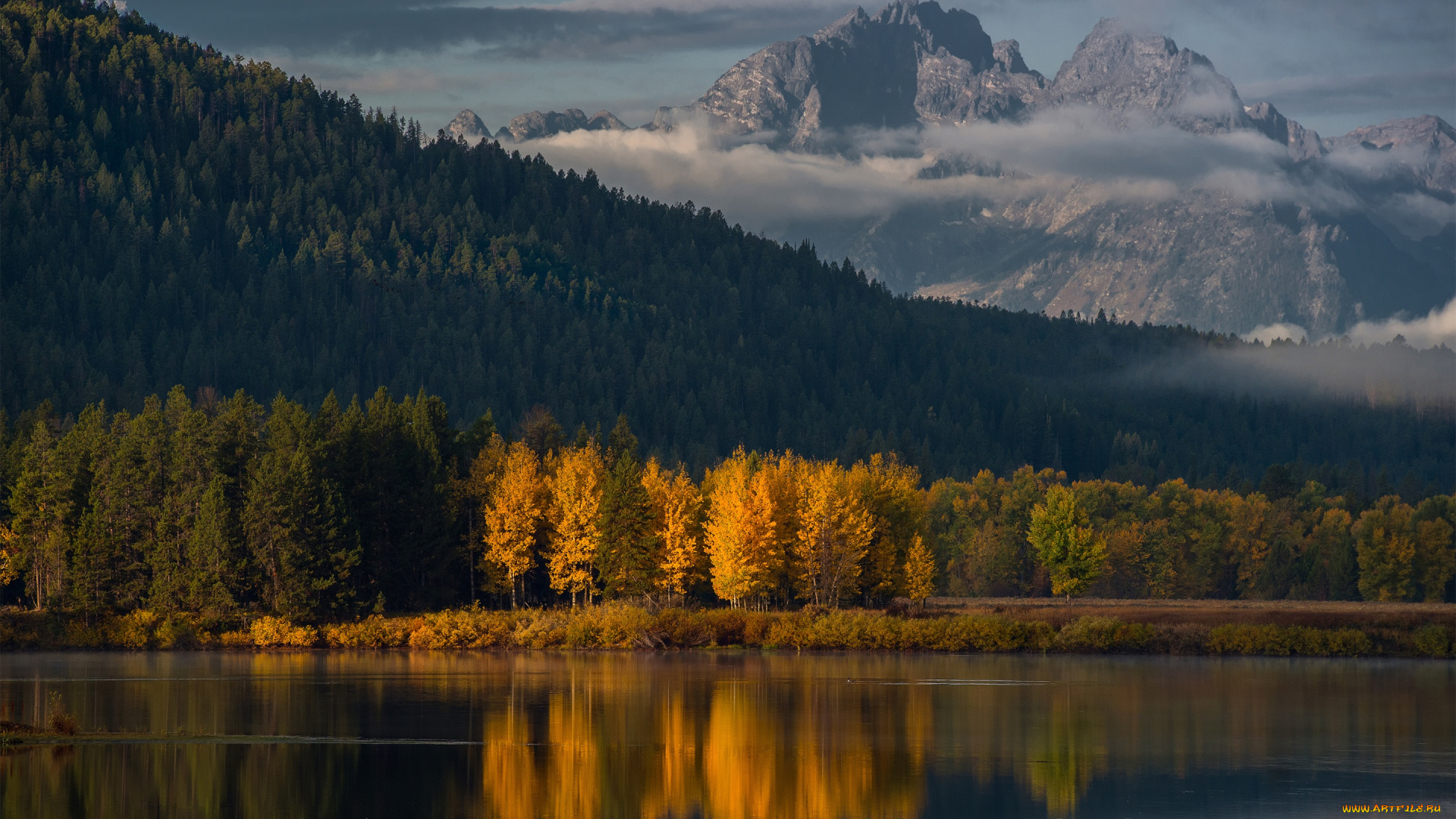 природа, реки, озера, горы, осень, лес, утро, oxbow, bend, гранд-титон, национальный, парк, штата, вайоминг, сша