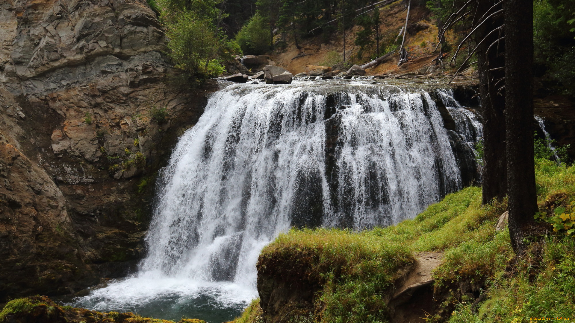 природа, вода, водопад, лес, река