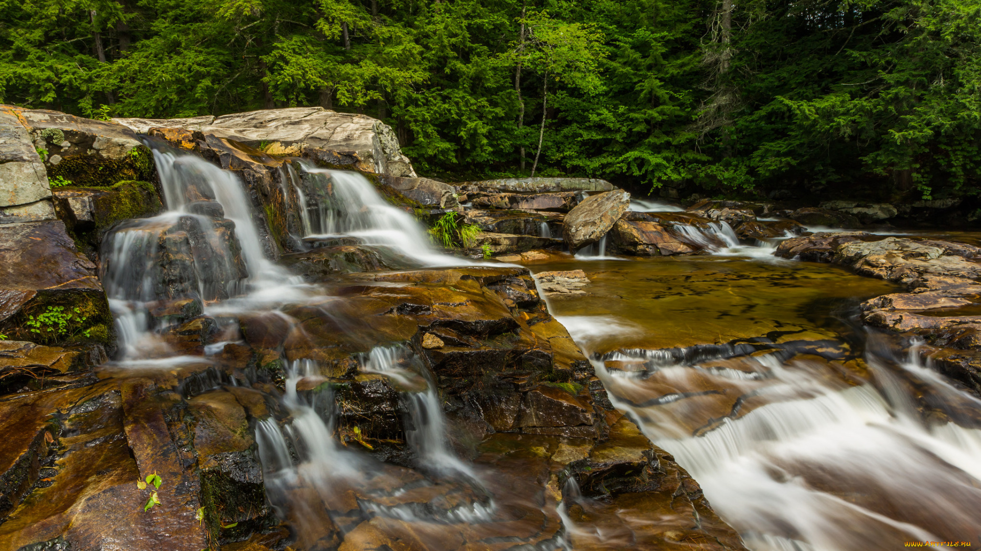 природа, водопады, лес, река, водопад