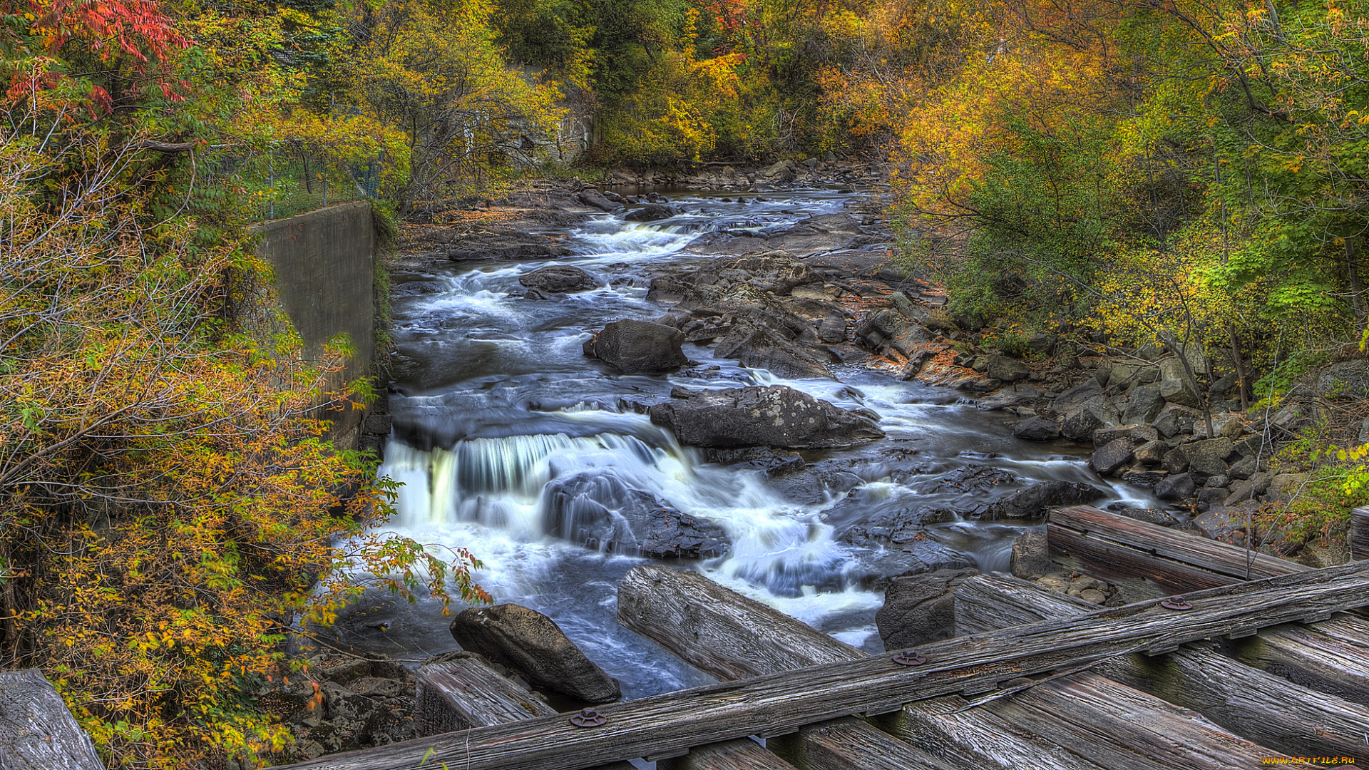 природа, водопады, водопад, лес, река