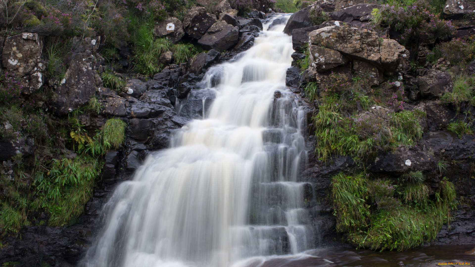 природа, водопады, водопад, лес, река