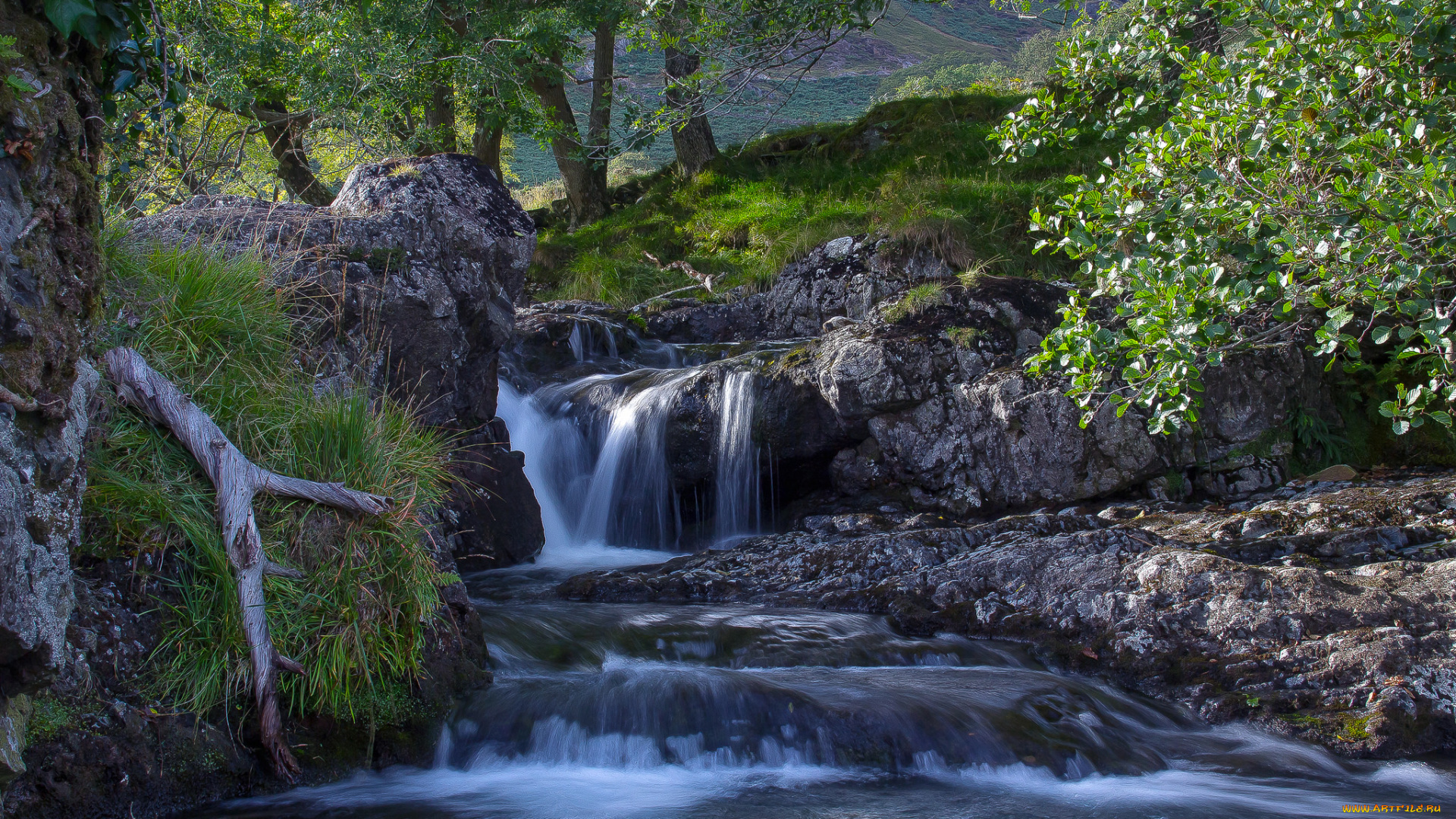 природа, водопады, водопад, лес, река