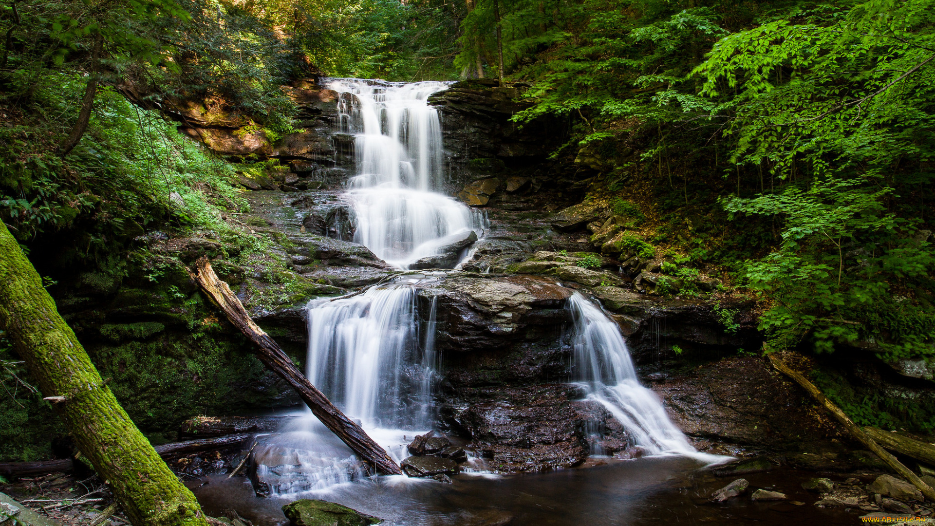природа, водопады, водопад, река, лес
