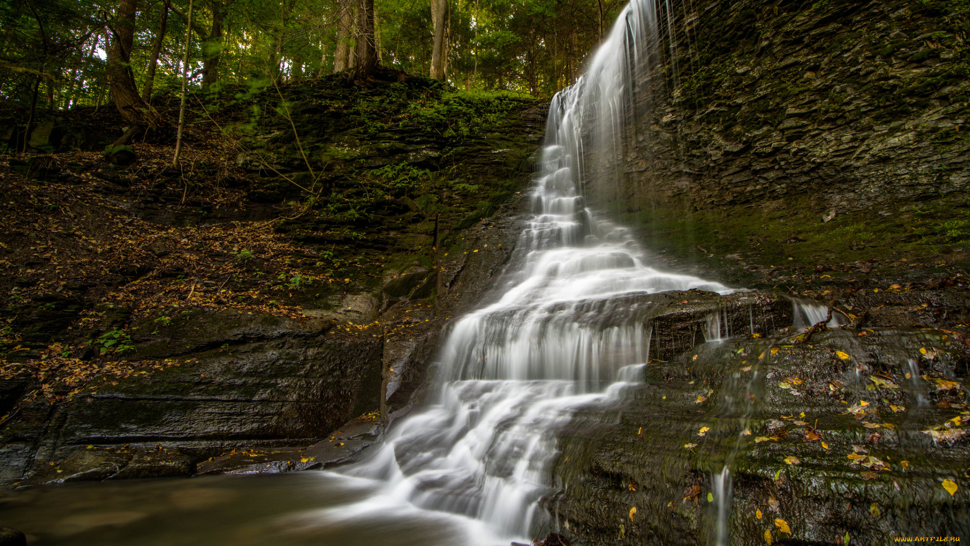 природа, водопады, водопад, река, лес