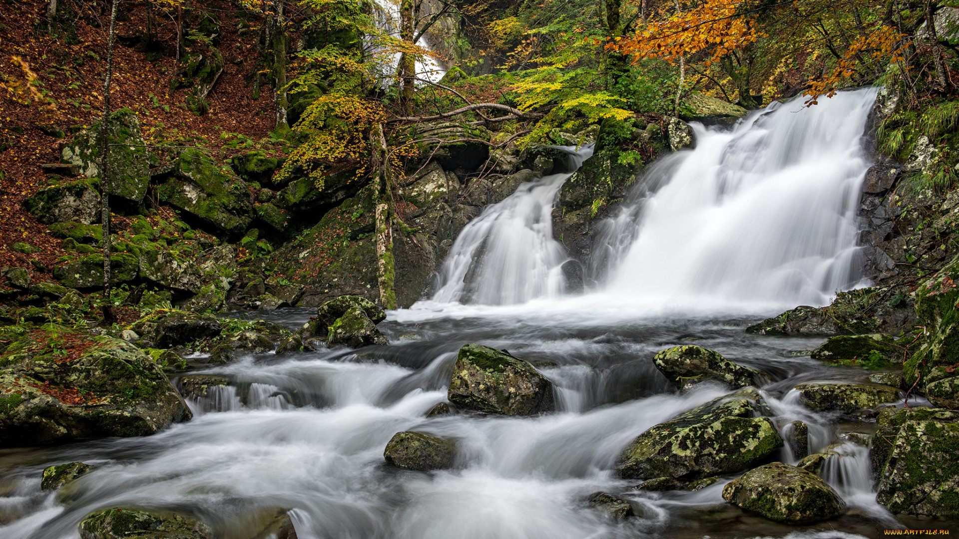 природа, водопады, водопад, река, лес