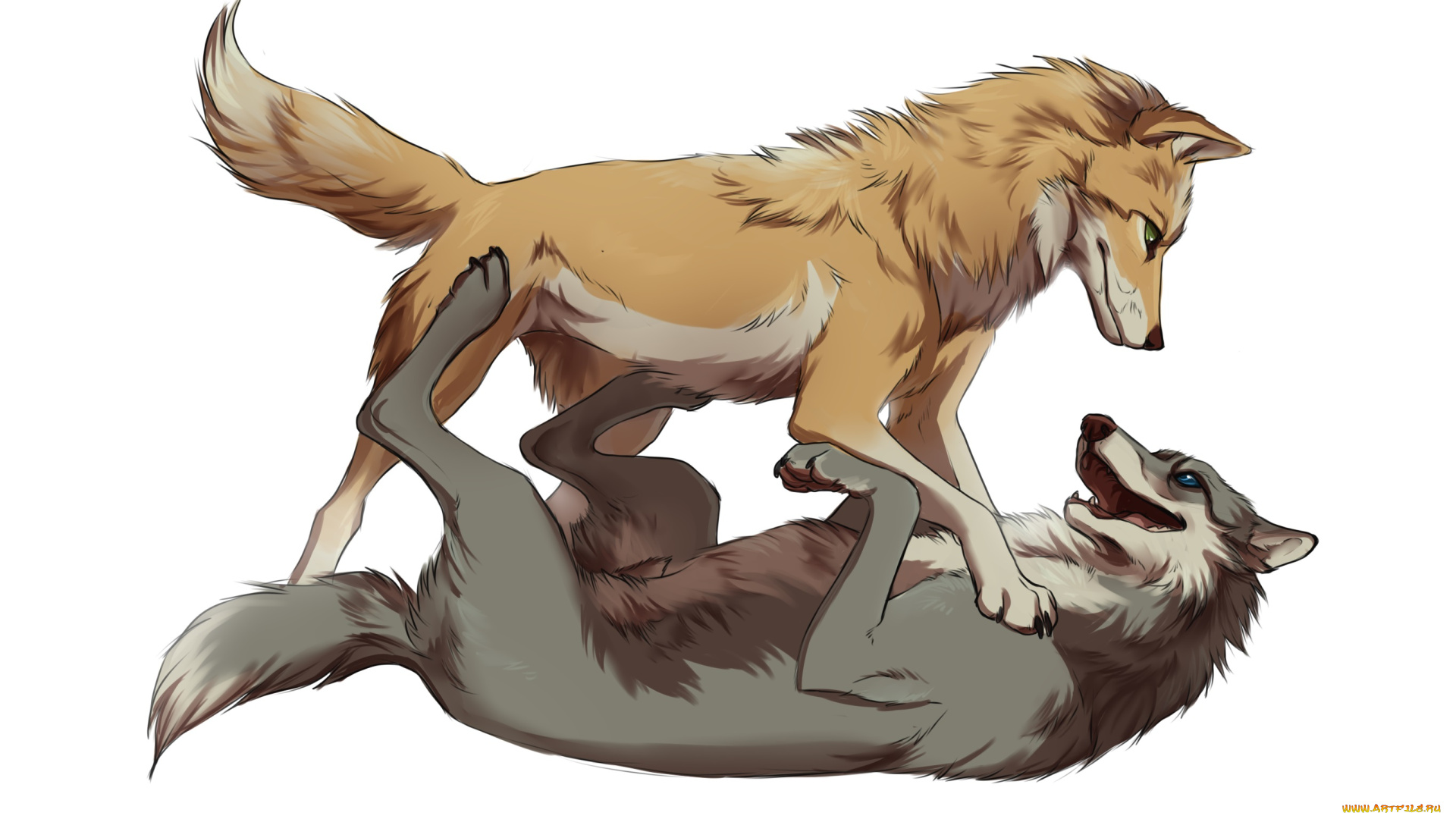 рисованные, животные, , собаки, фон, собаки