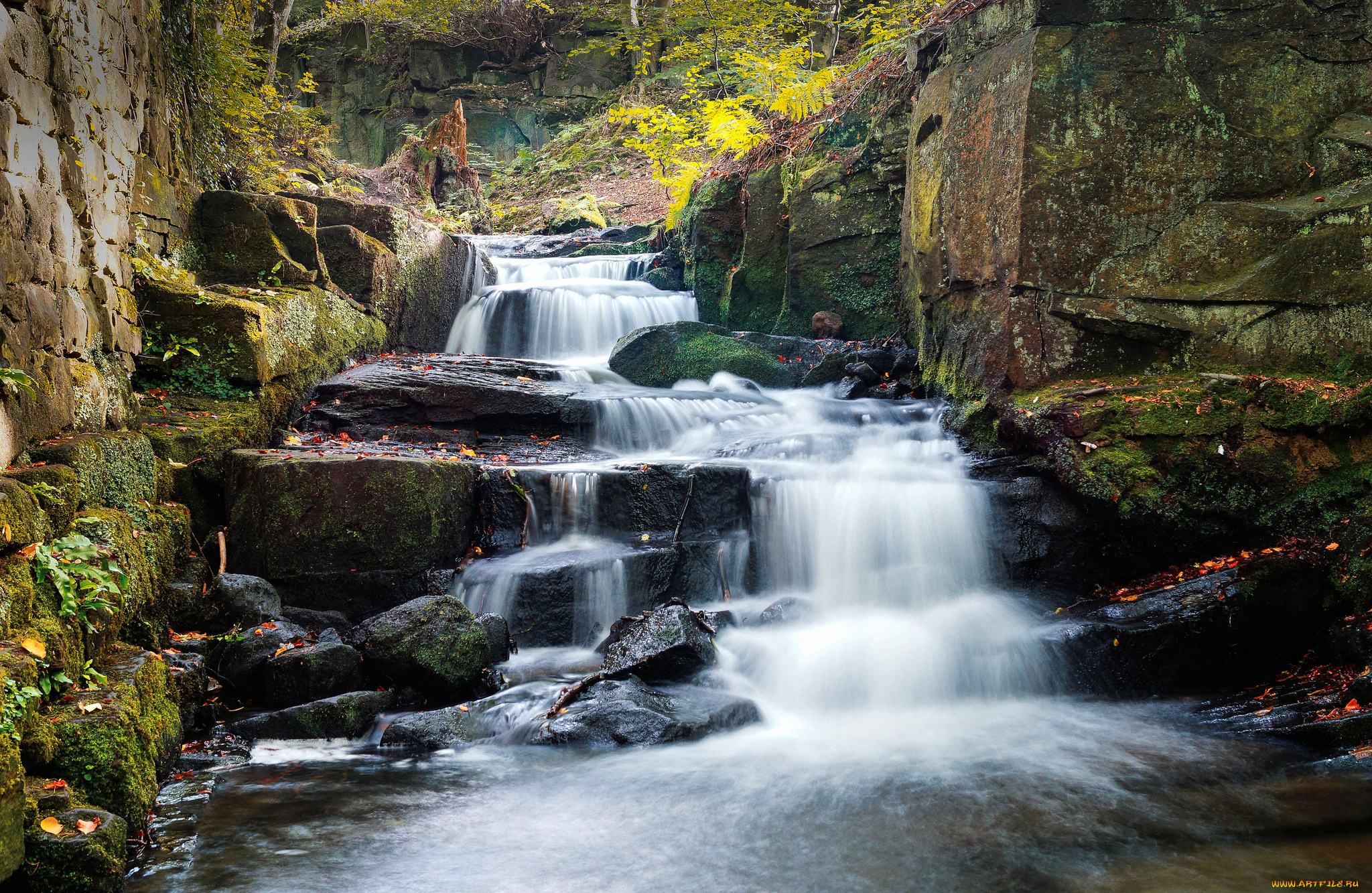 природа, водопады, водопад, река, лес